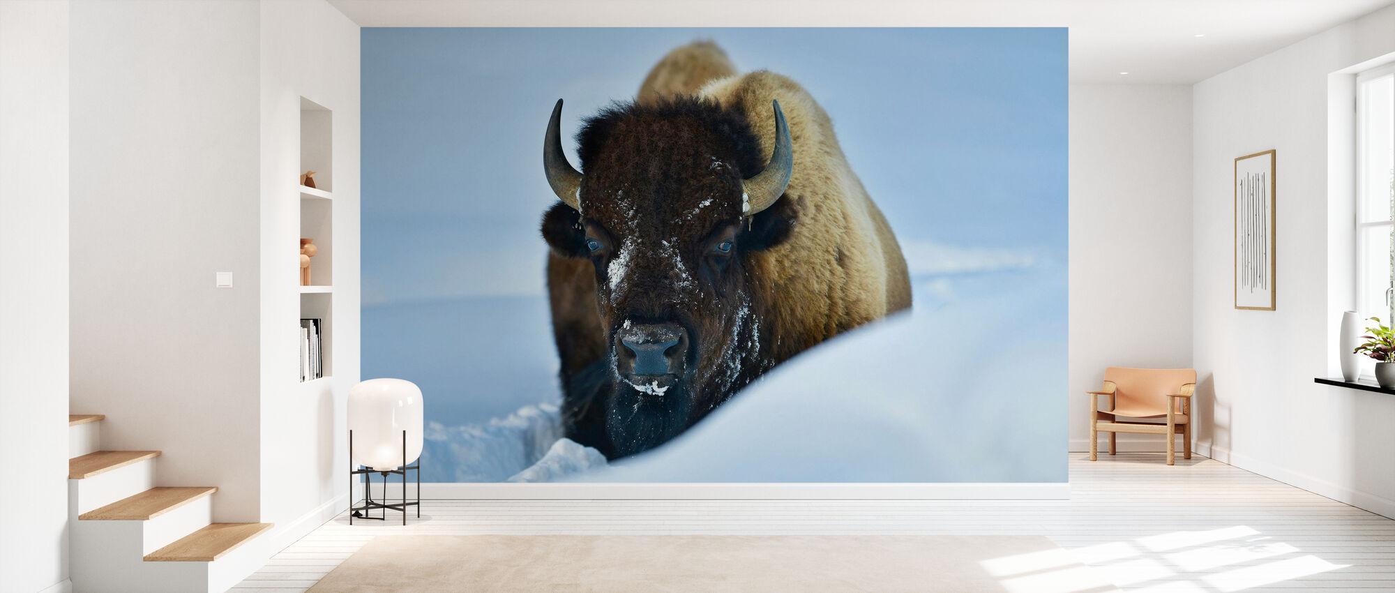 2000x850 Winter Bison