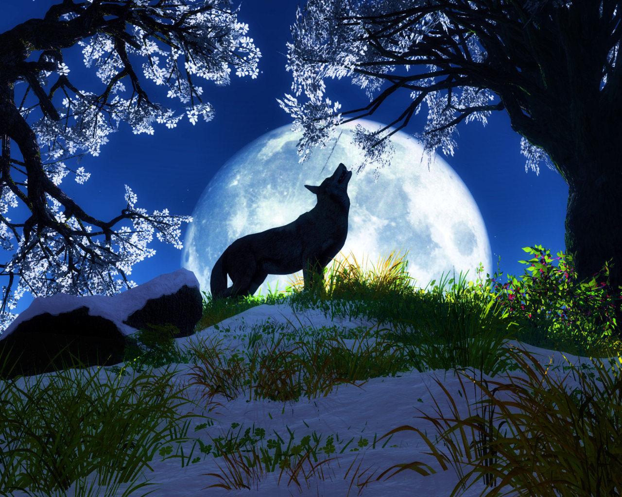 1280x1024 Wolf Full Moon Wallpaper