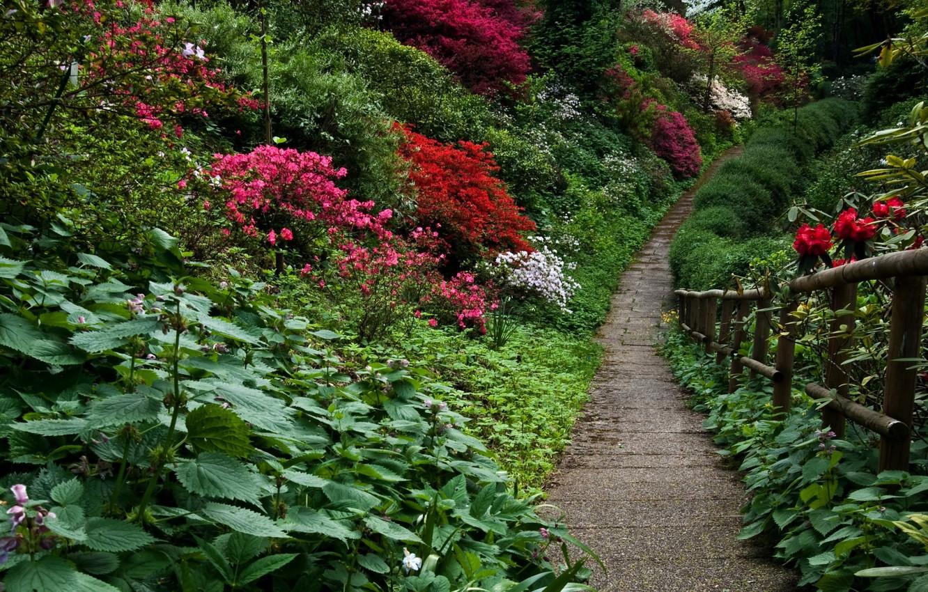 1332x850 Wallpaper plants, garden, track, Nature, flowers, garden, path image for desktop, section природа