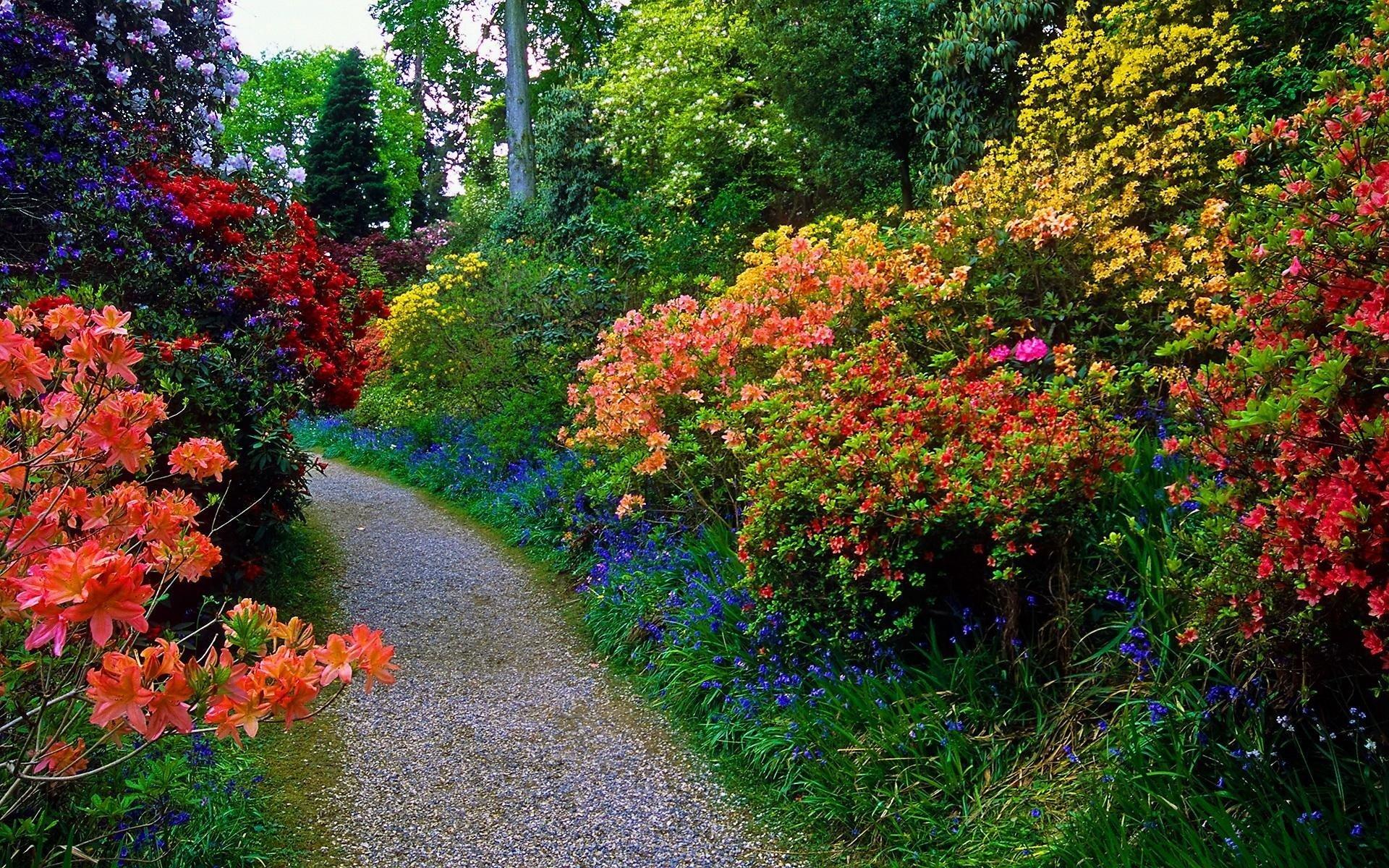 1920x1200 Flowery Garden Path