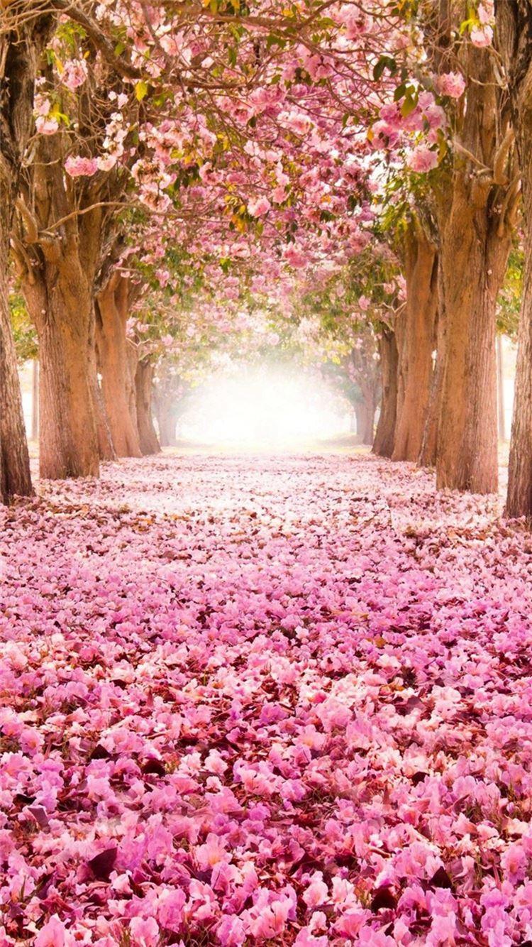 750x1334 Dreamy Fantasy Bloomy Petal Path iPhone 8 Wallpaper Free Download