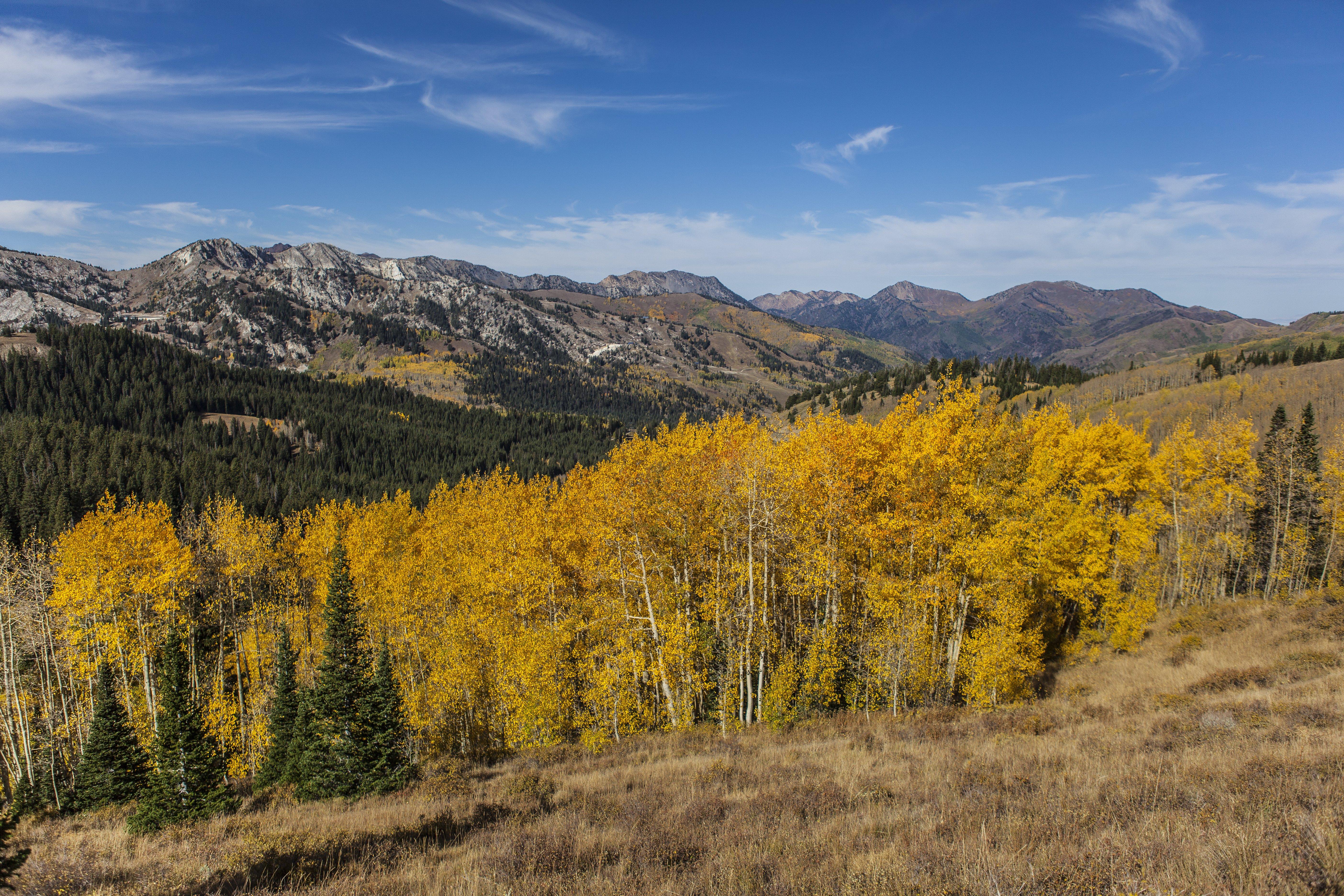 5616x3744 Guardsman Pass Park City Utah 4K wallpaper
