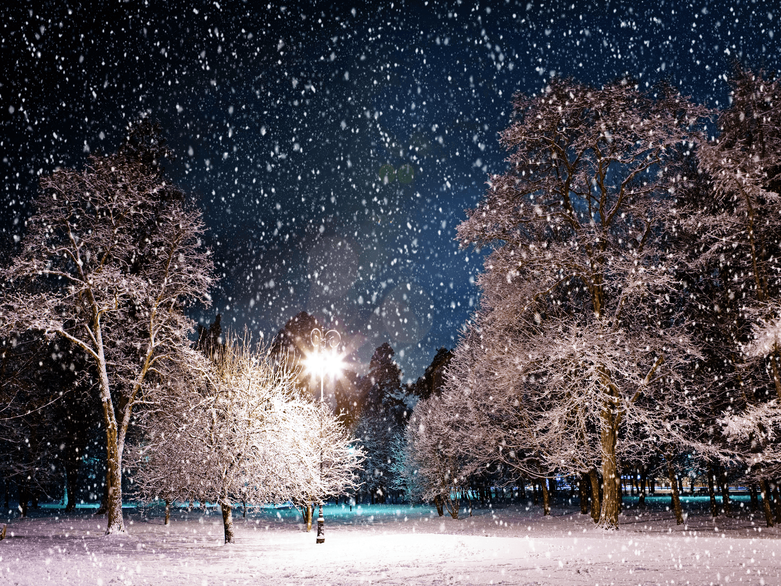 1600x1200 South Korea Winter Snow Wallpaper