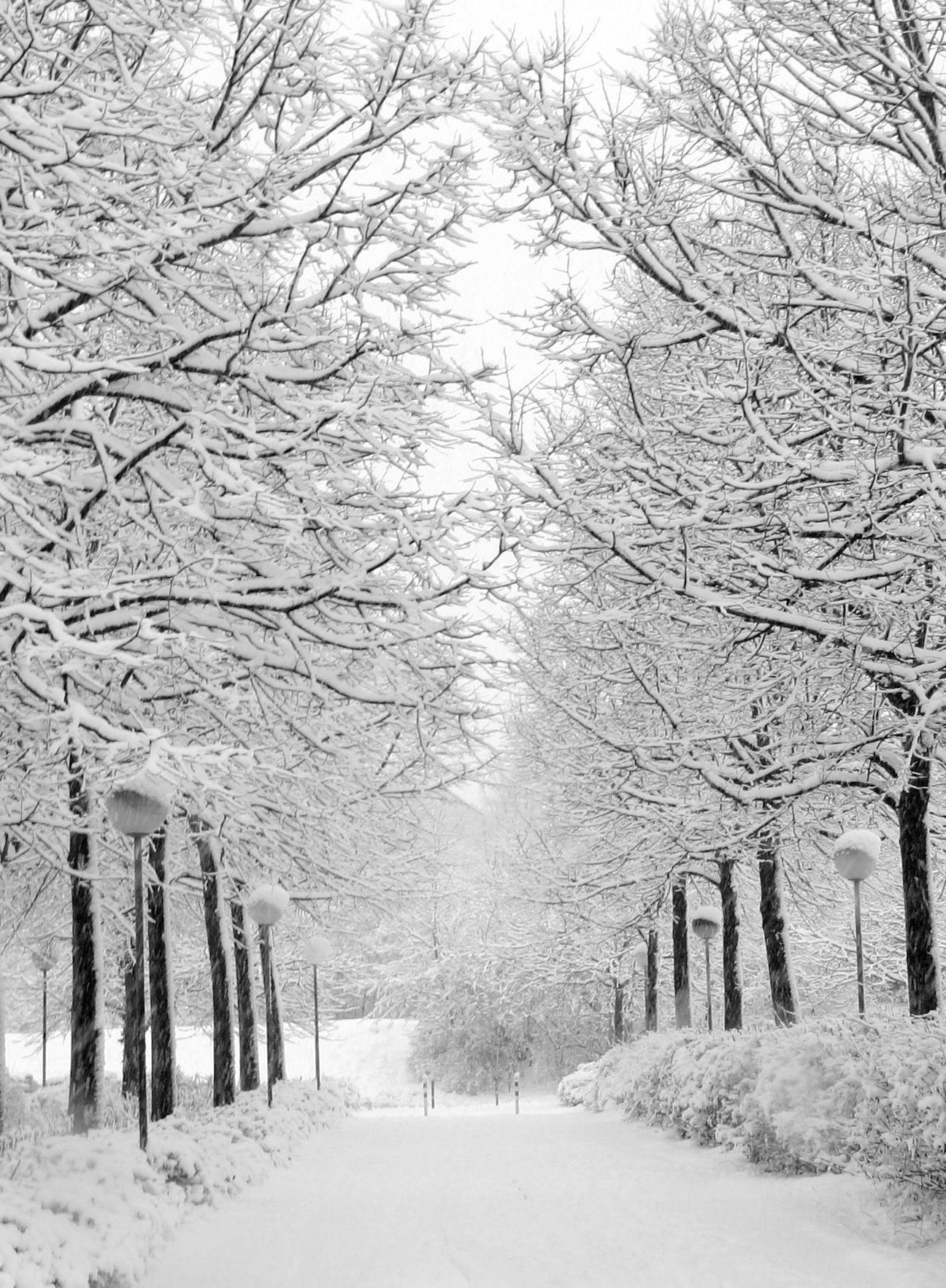 1296x1764 Pretty White Winter Wallpaper