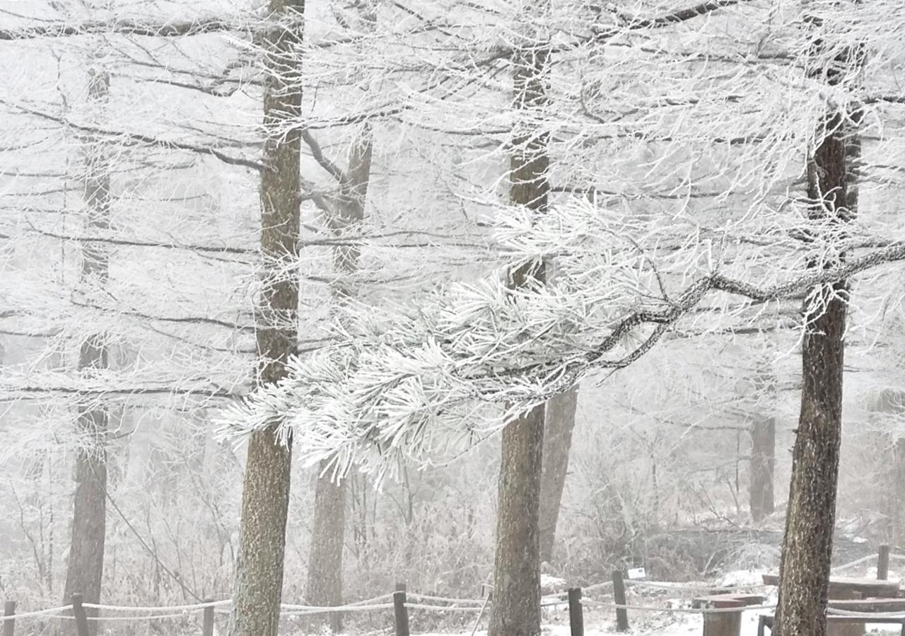 1280x899 Photo News Hallasan welcomes the first snow of the season
