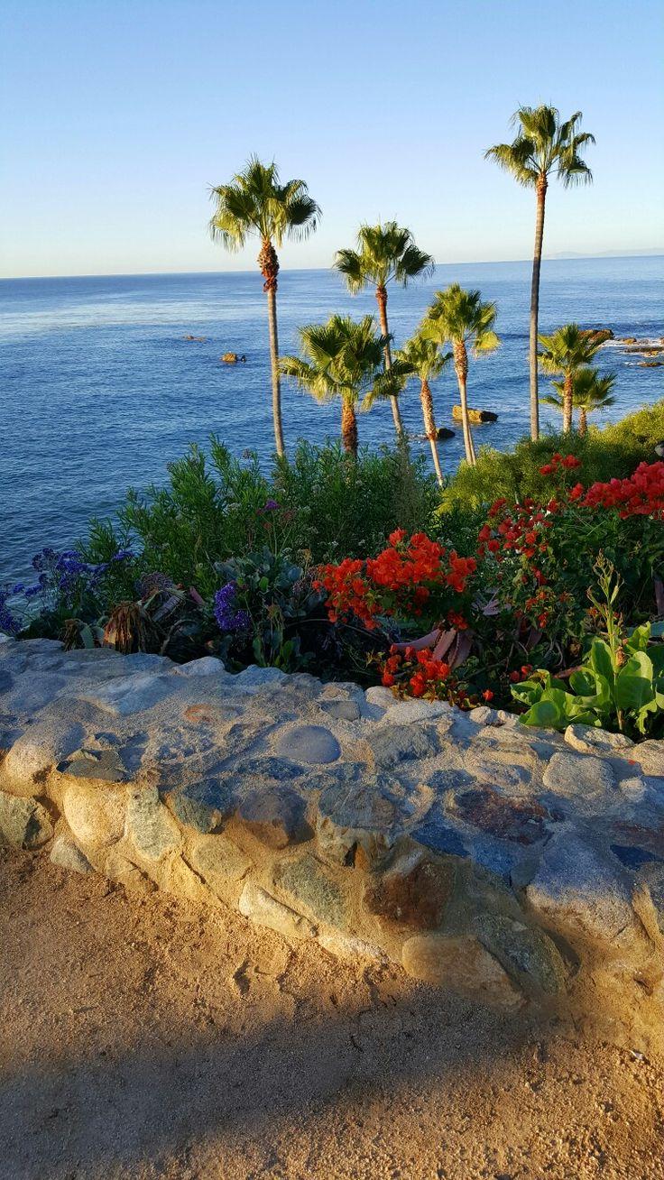 736x1308 Heisler Park Beach, CA. California travel, Scenery, Scenic