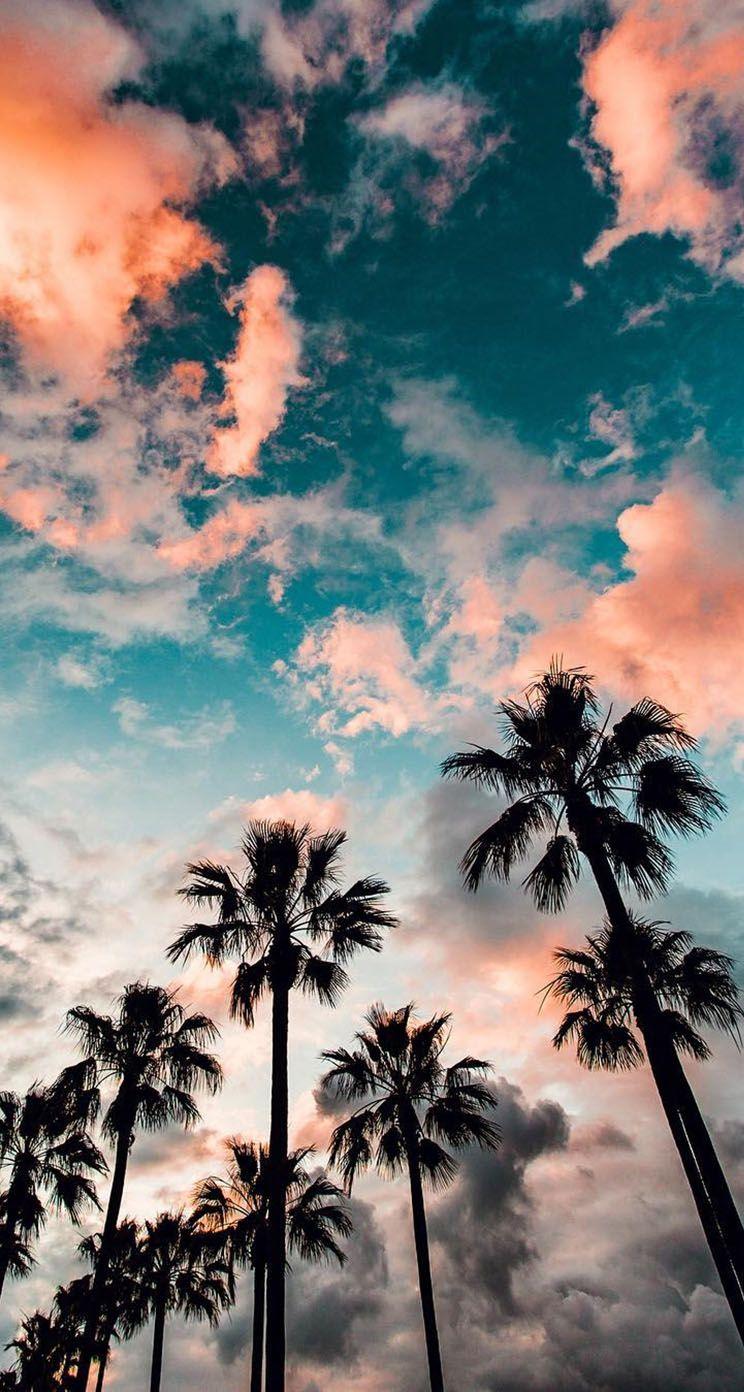 744x1392 California Beach at Night Wallpaper