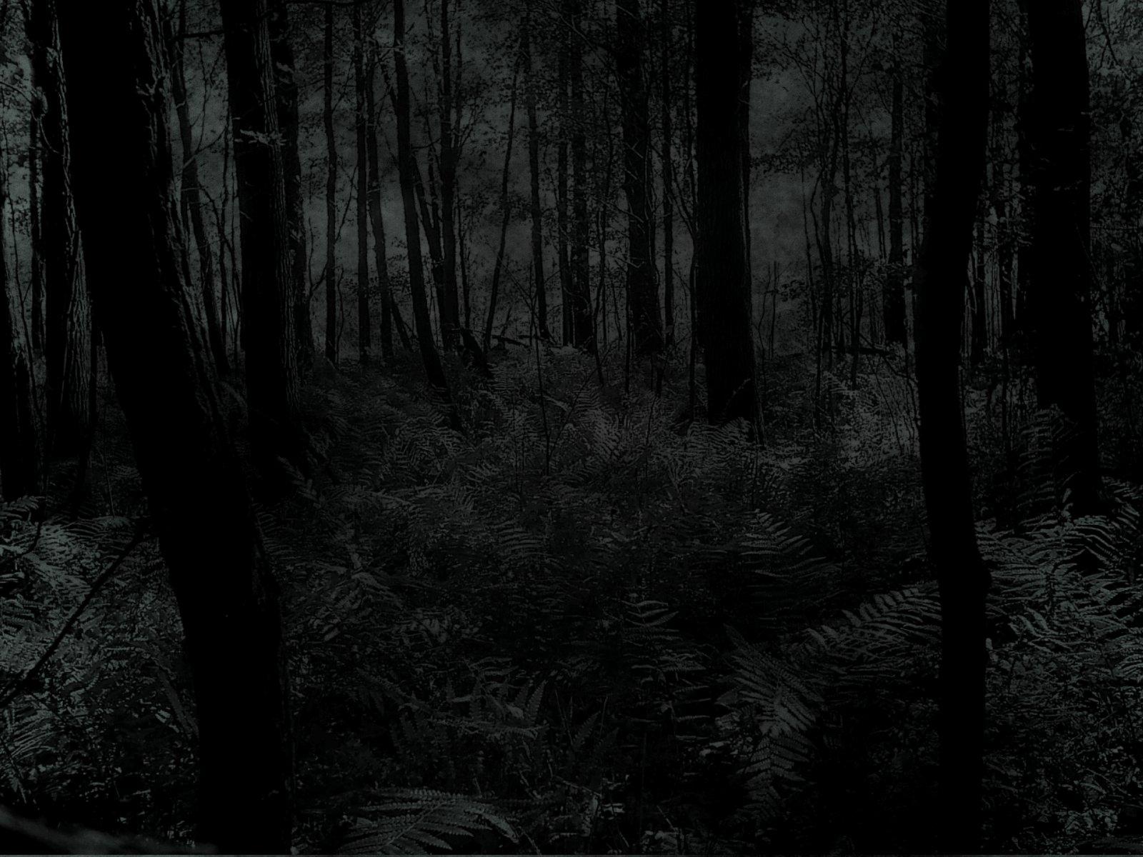 1600x1200 Dark Gothic wallpaper wallpaper Wallpaper