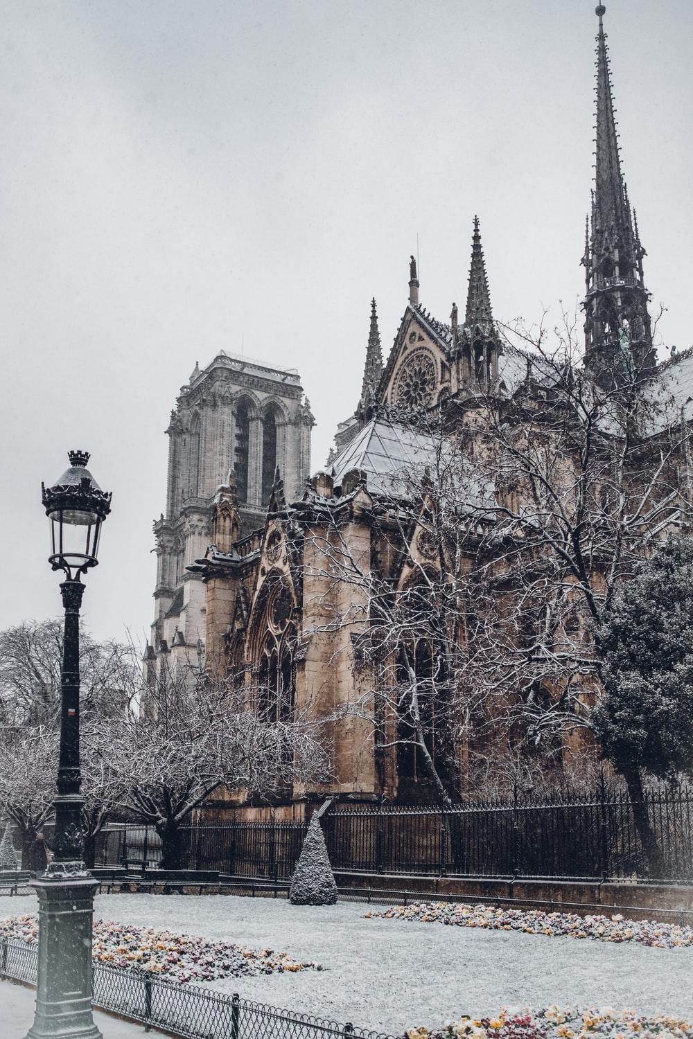 1000x1500 Paris Winter Picture. Download Free Image