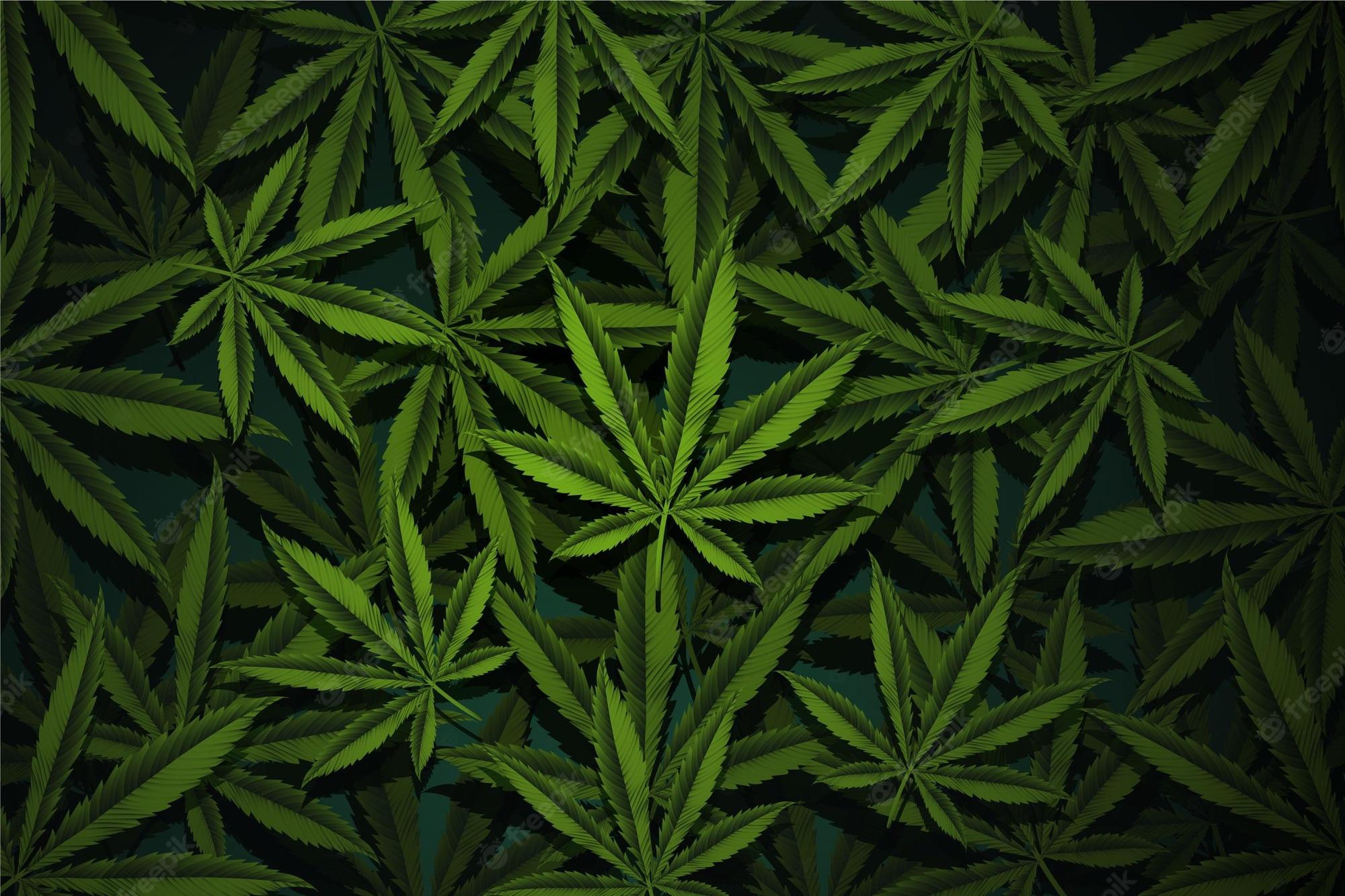 2000x1333 Marijuana Wallpaper Image
