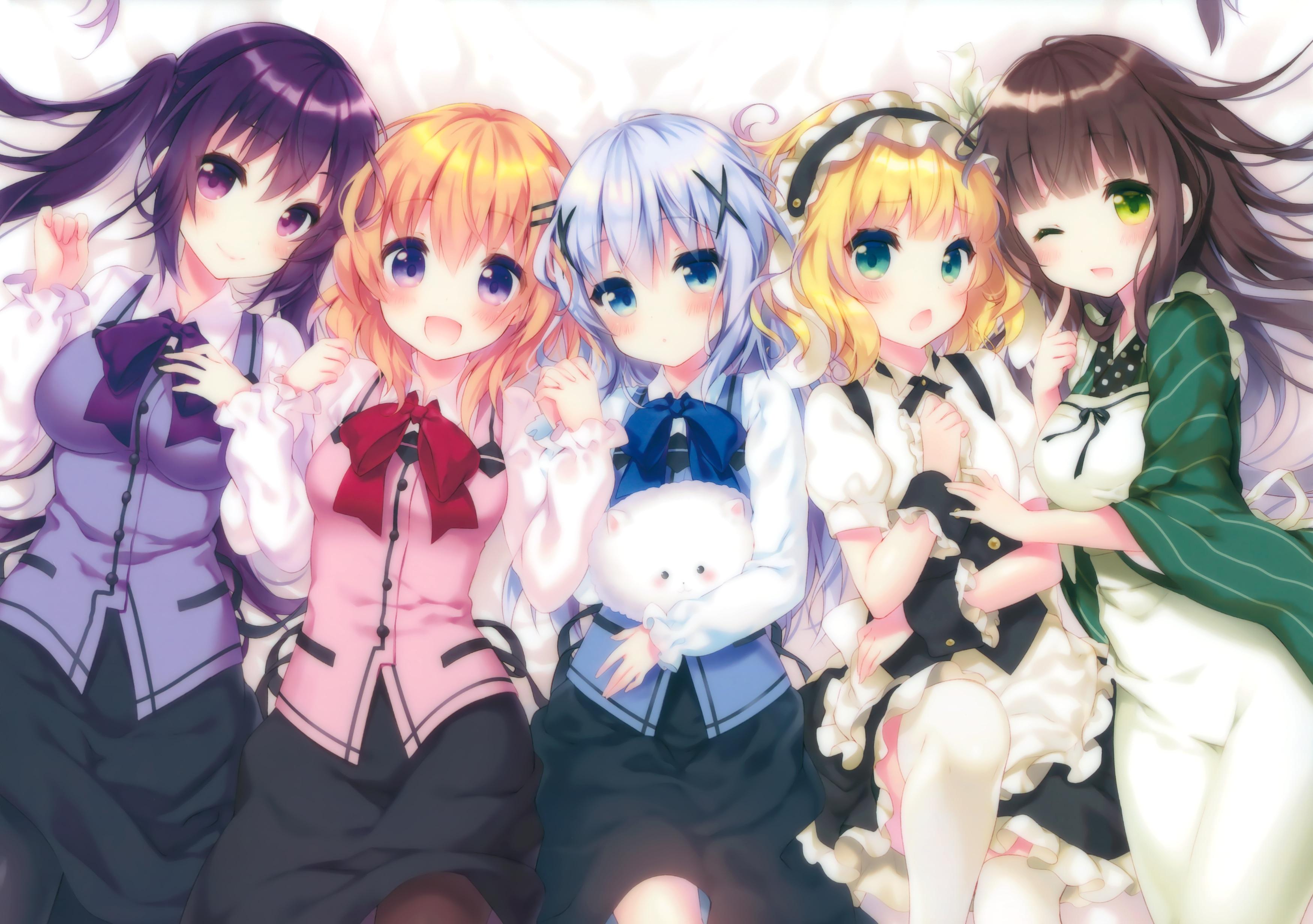 3500x2464 Is the Order a Rabbit? HD Wallpaper and Background