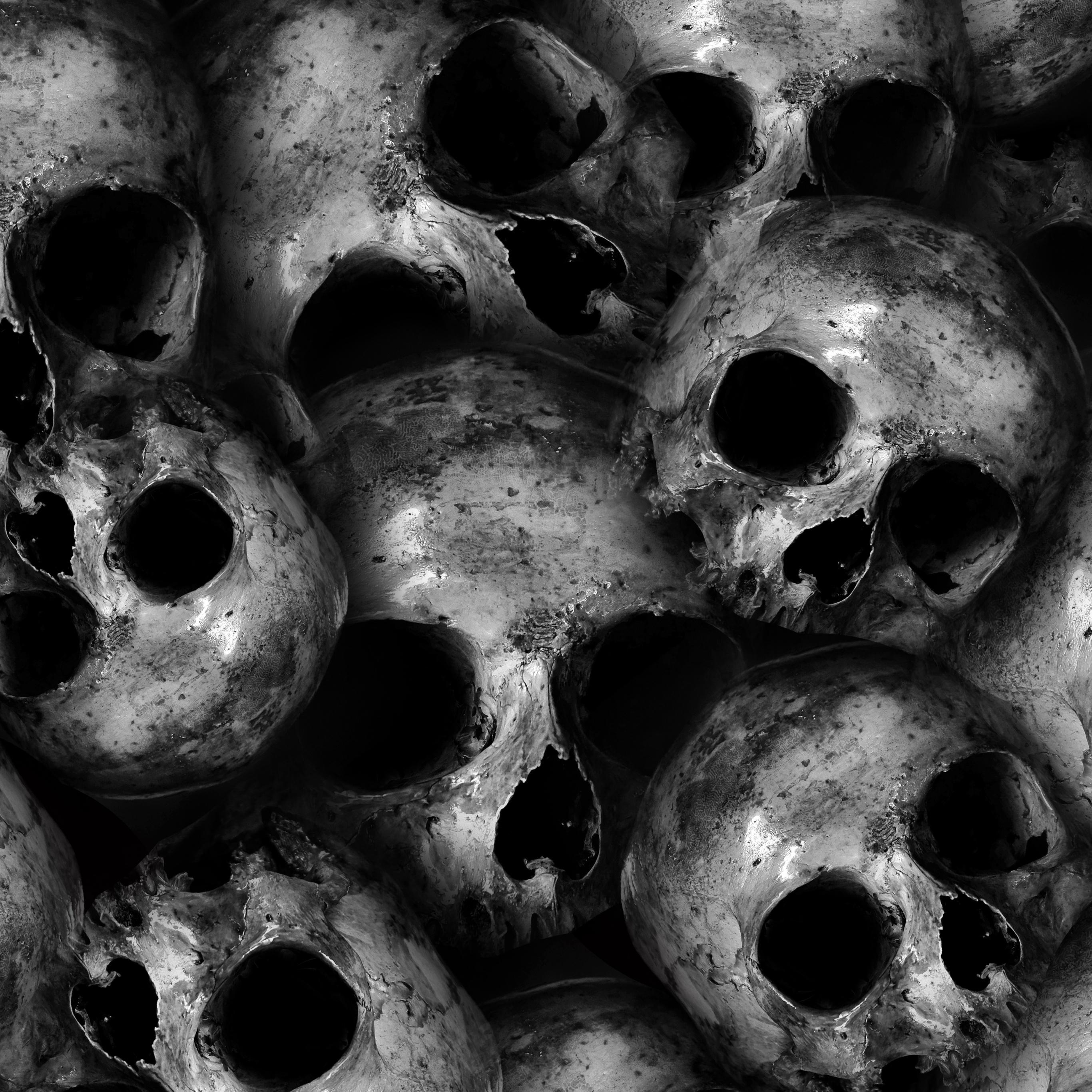 2732x2732 Skulls Wallpaper 4K, Scary, Monochrome, 5K, Black Dark
