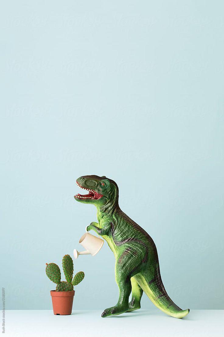 736x1104 Dinosaur Gardening by Ruth Black. Dinosaur photography, Dinosaur garden, Dinosaur