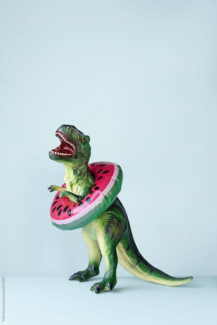 736x1104 Dinosaur With Inflatable Rubber Ring by Ruth Black. Dinosaur photography, Dinosaur, Dinosaur wallpaper