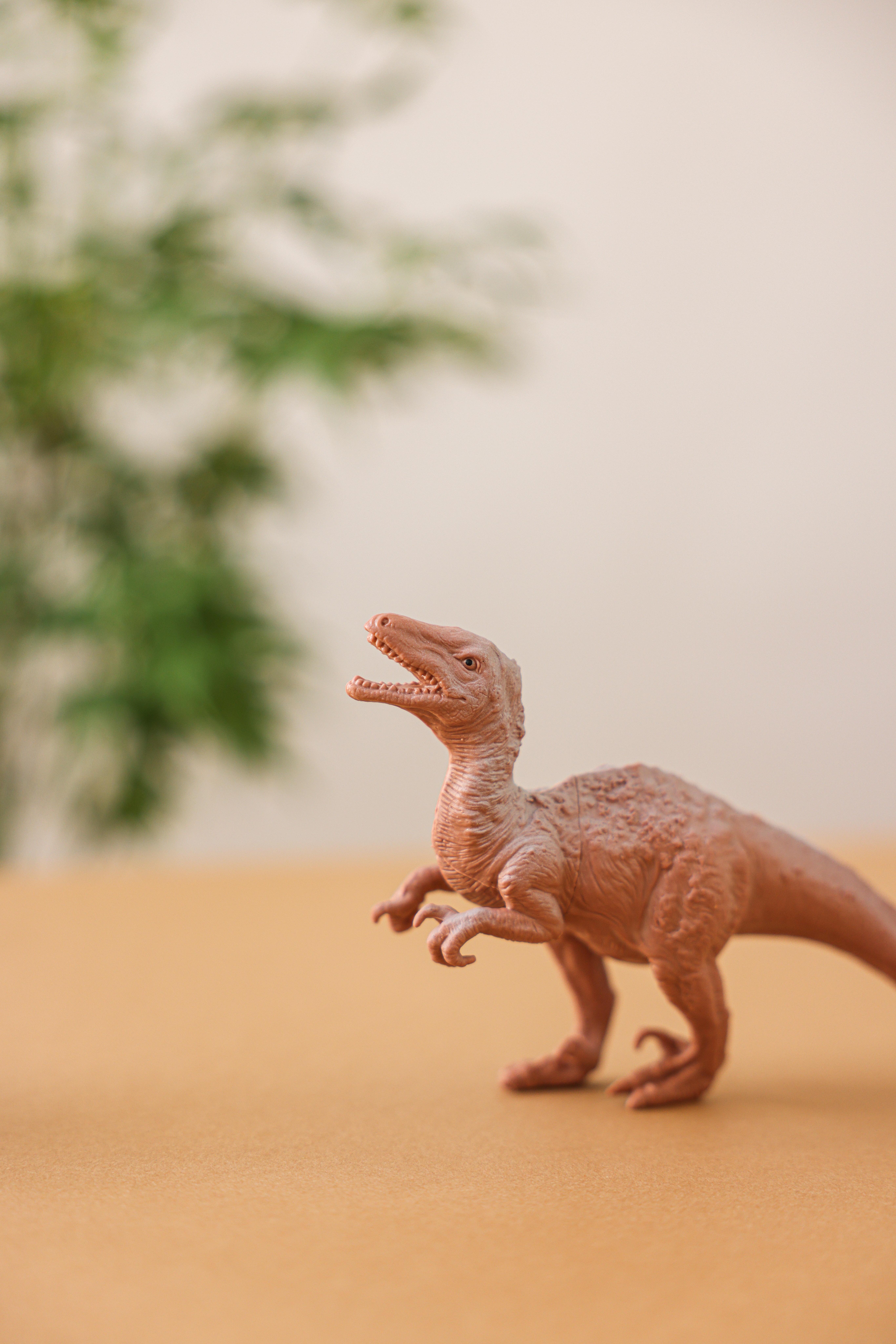 5464x8192 Illuminated Dinosaur Toy in Close Up Photography · Free
