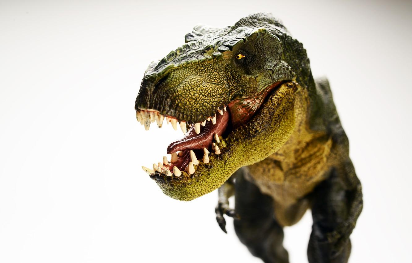 1332x850 Wallpaper toy, dinosaur, scavenger image for desktop, section минимализм