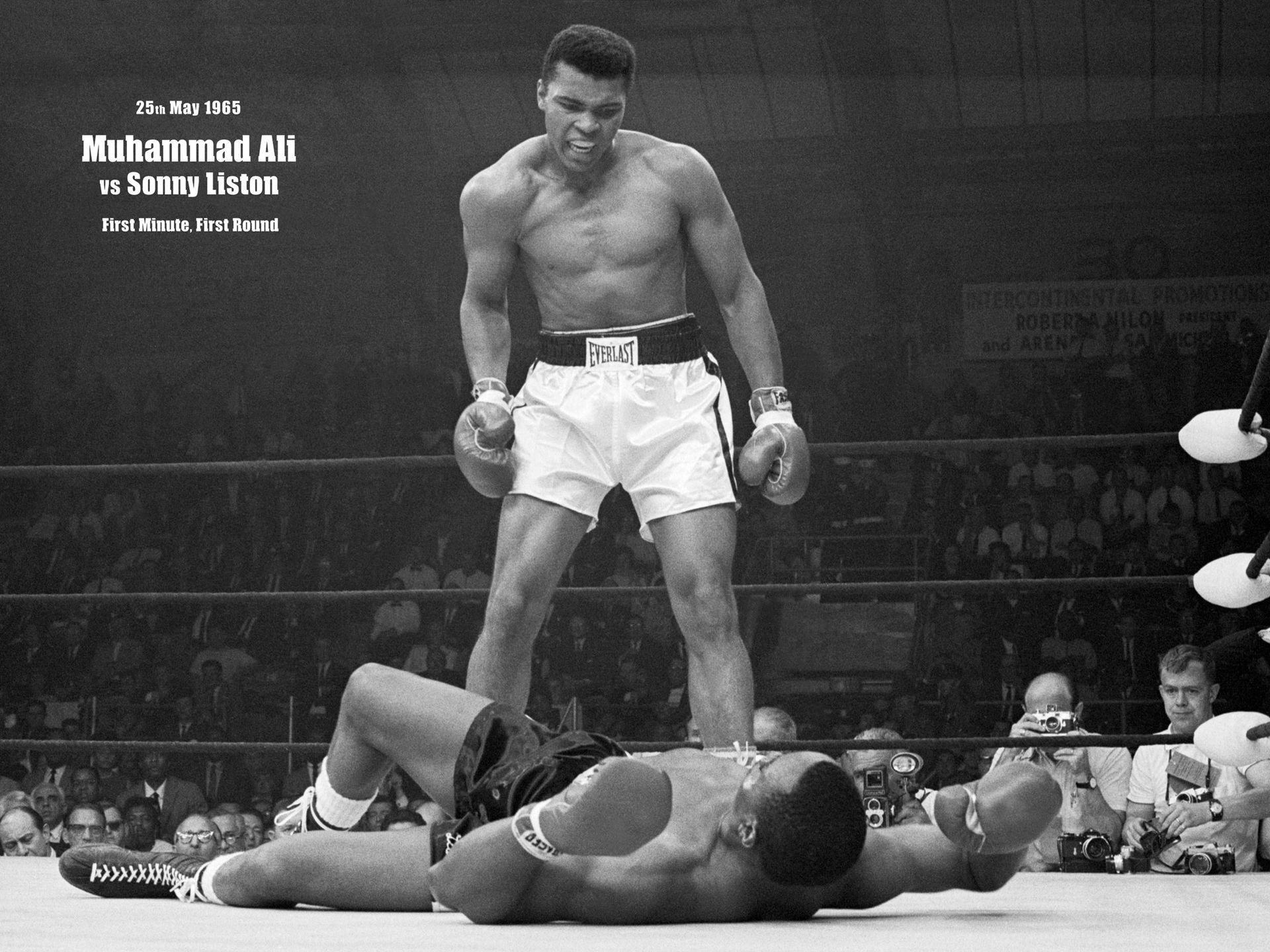 1920x1440 Boxers Wallpaper