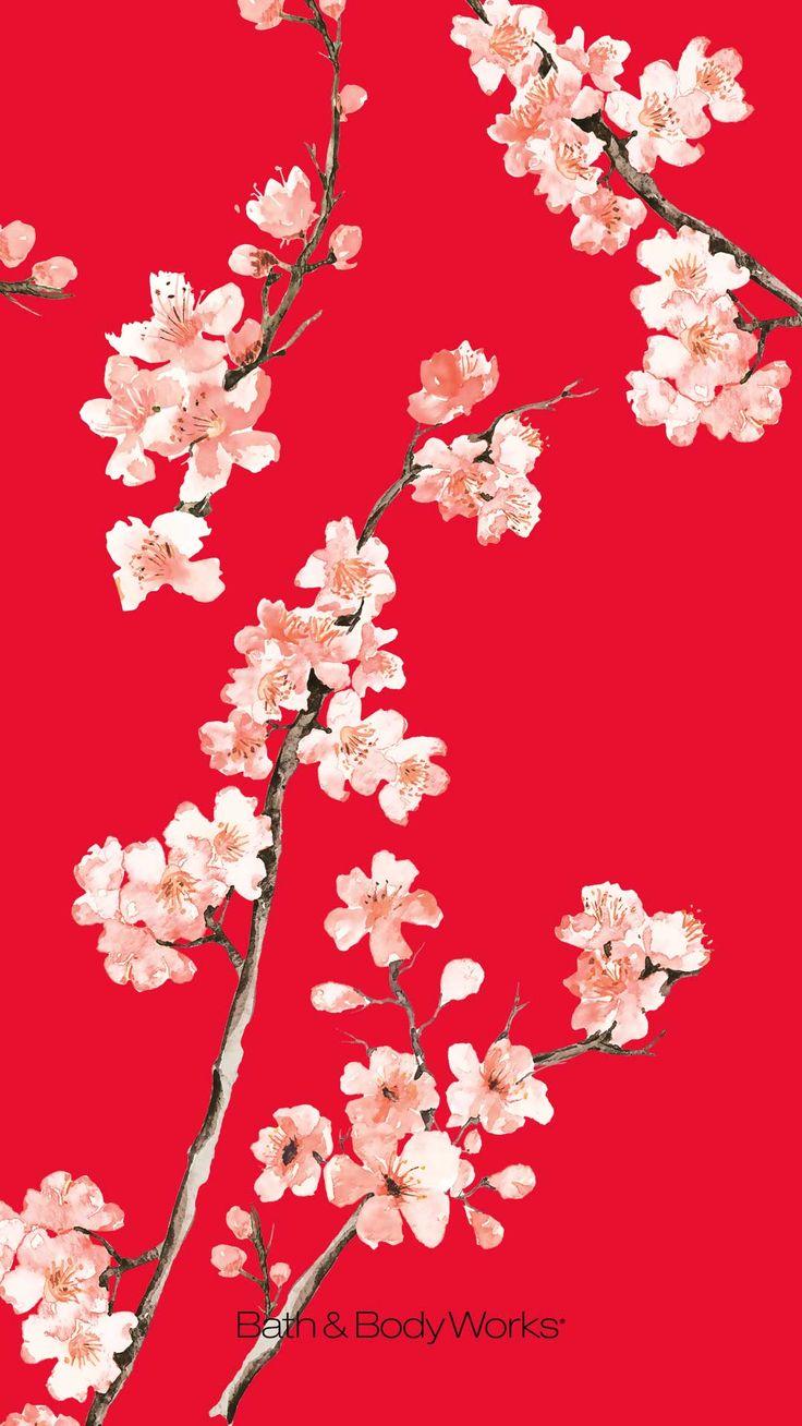 Red Sakura Wallpapers - Top Free Red Sakura Backgrounds - WallpaperAccess