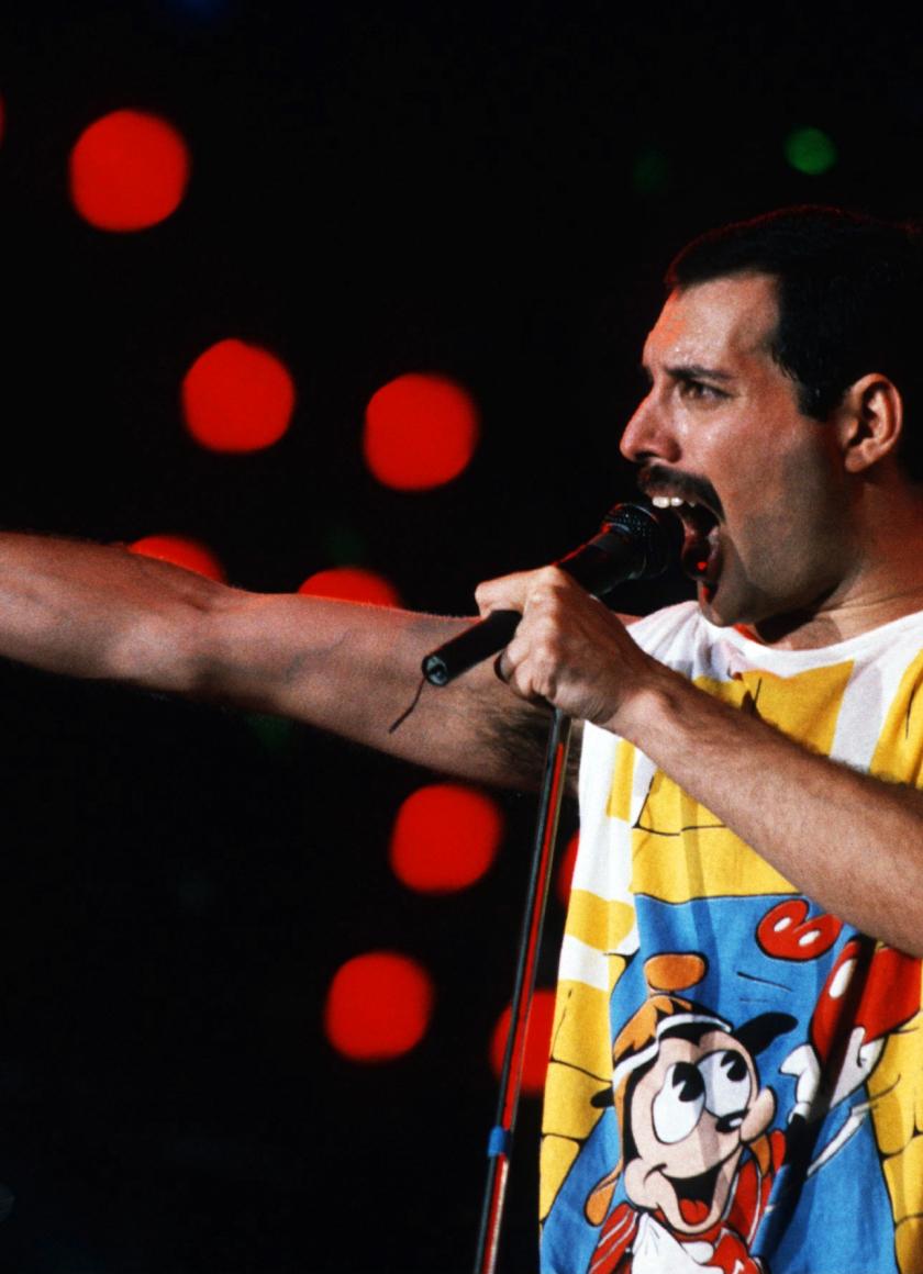 840x1160 freddie mercury, singer, performance 840x1160 Resolution Wallpaper, HD Music 4K Wallpaper, Image, Photo and Background