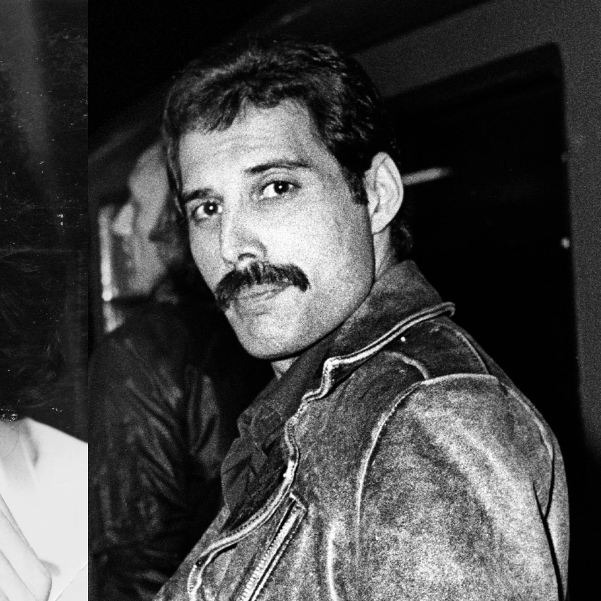 1920x1920 Freddie Mercury in private: 20 rarely seen photo of the star behind closed doors