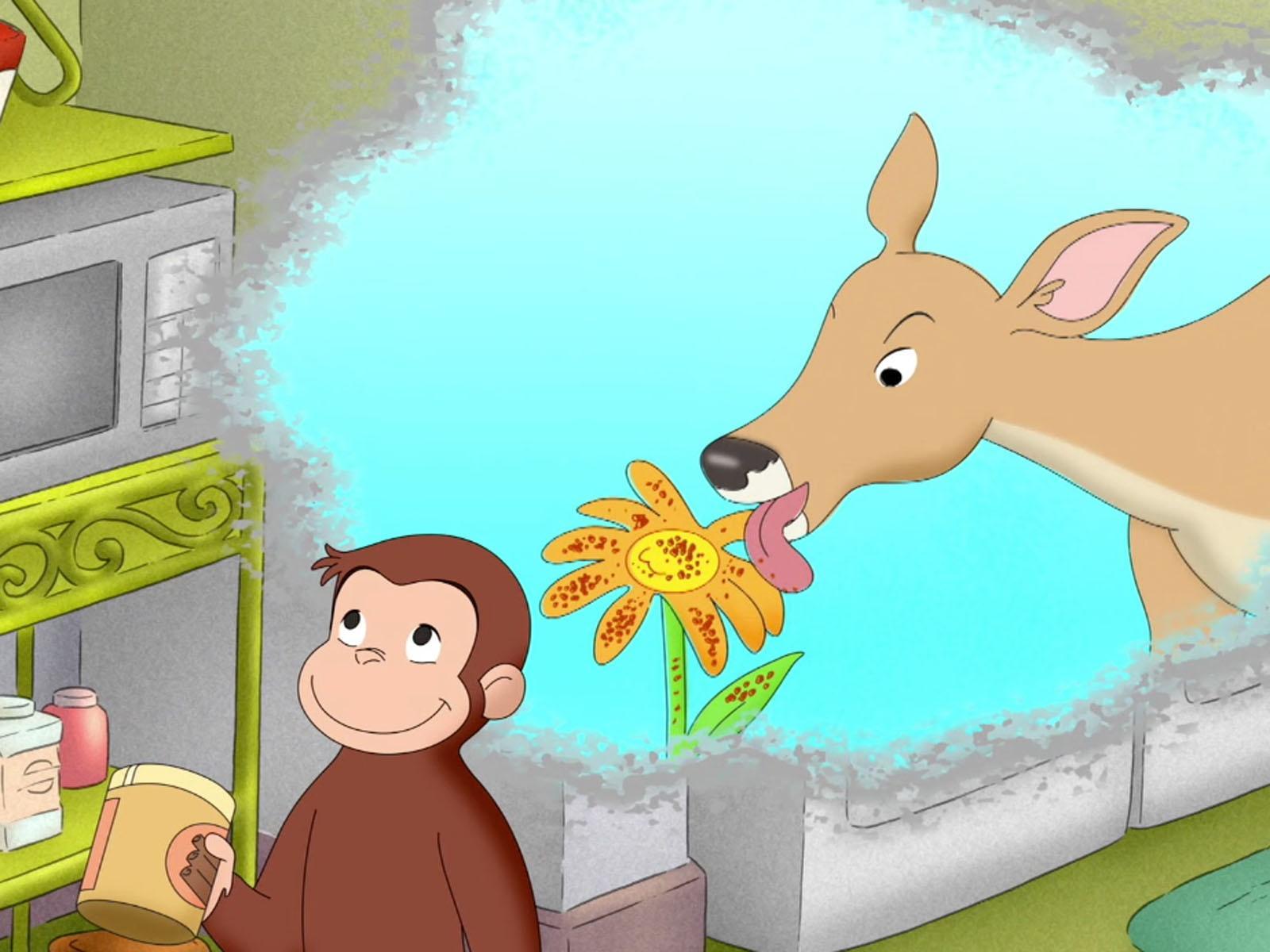 1600x1200 Curious George: Five Senses
