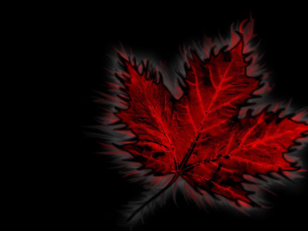 1024x768 Canada Day Wallpaper 112933