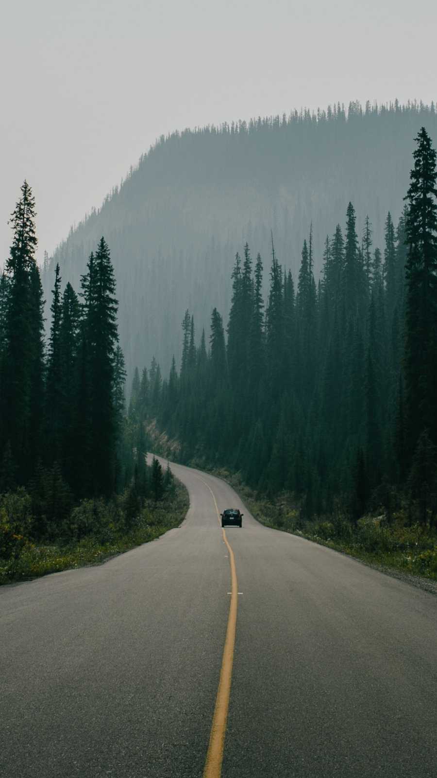 900x1600 Alaska Trees Road Forest Nature IPhone Wallpaper Wallpaper : iPhone Wallpaper