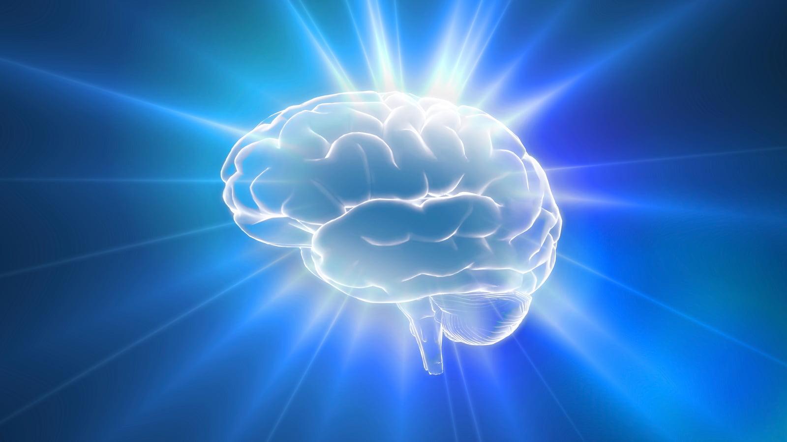 1600x900 Cognifit: The Mental Gym To Train Your Brain