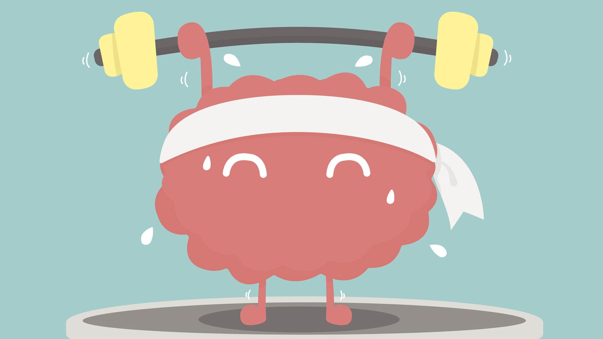 1920x1080 how to train your brain Archives