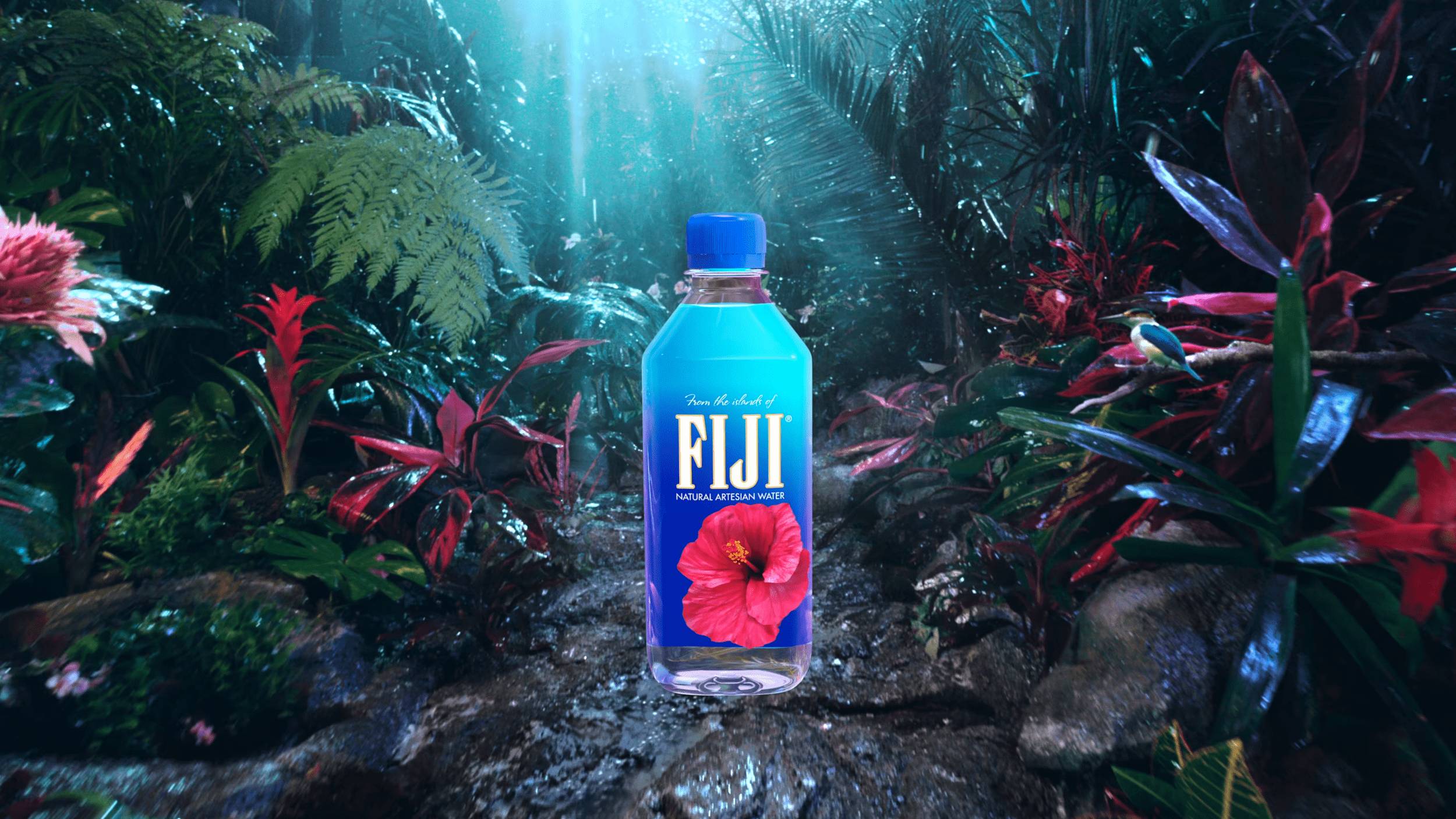 Fiji Water Bottle Wallpapers - Top Free Fiji Water Bottle Backgrounds ...