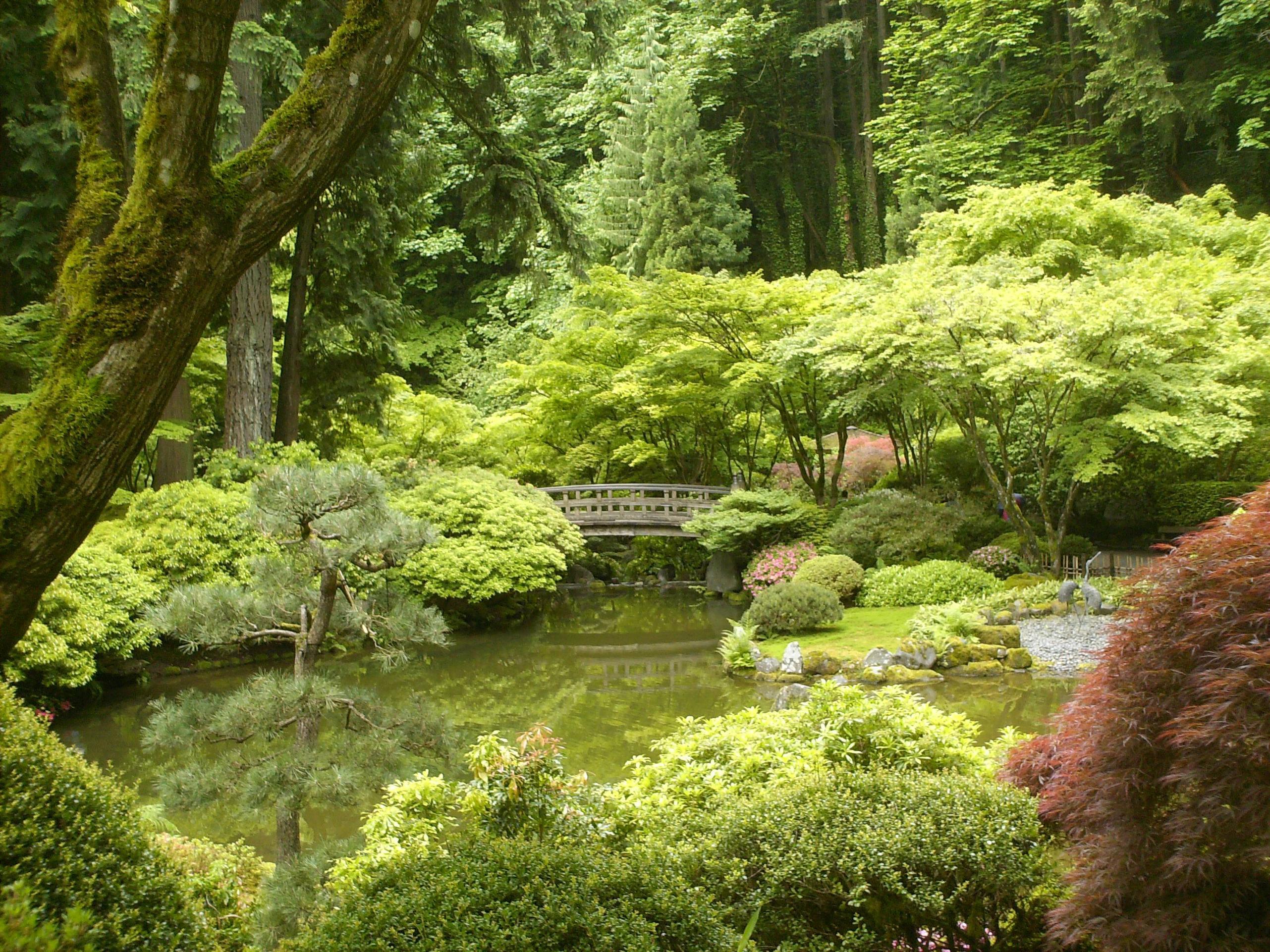 2563x1922 Japanese Zen Wallpaper