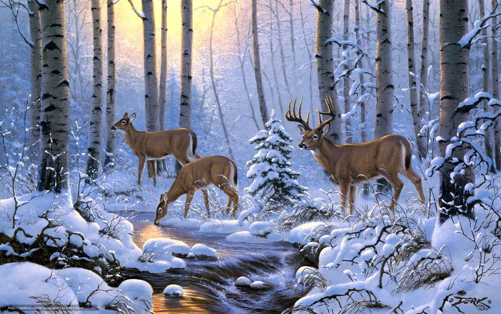 1600x1005 Free Deer Wallpaper