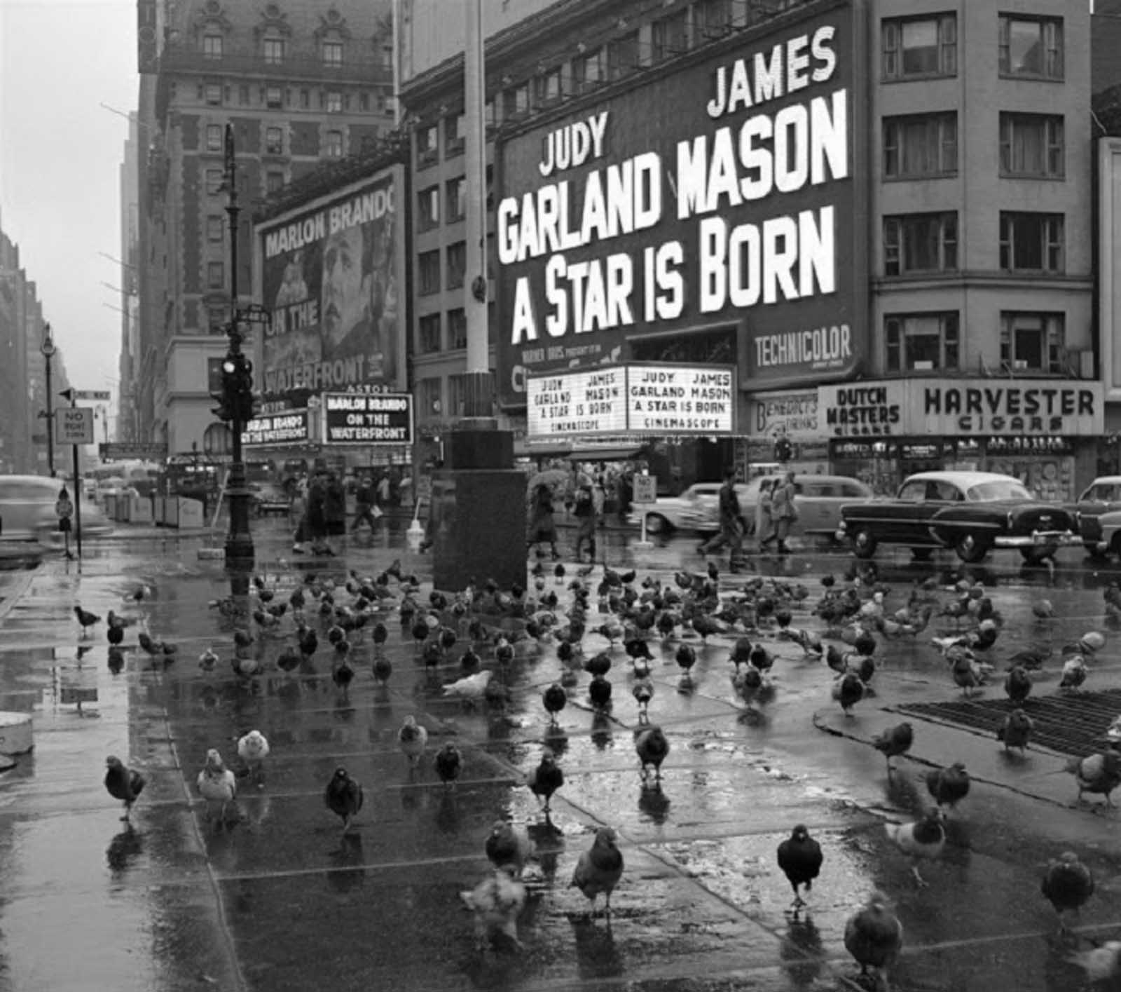 1600x1415 Vintage photo of everyday life in New York, 1950s Historical Photo