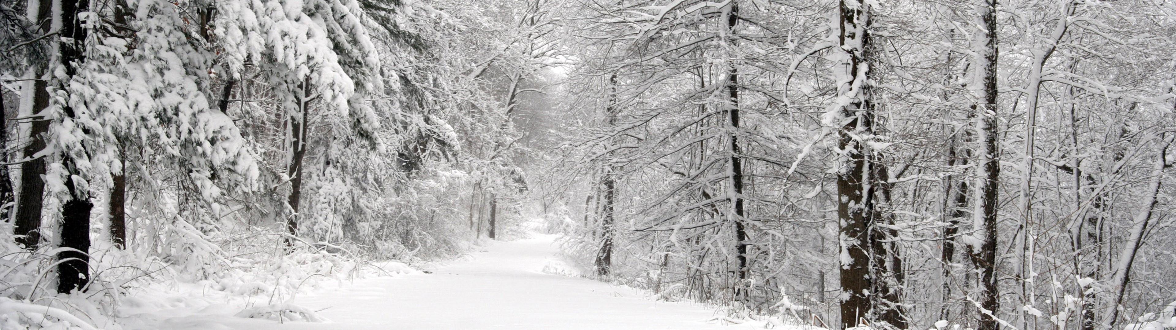 3840x1080 Winter Dual Monitor Wallpaper