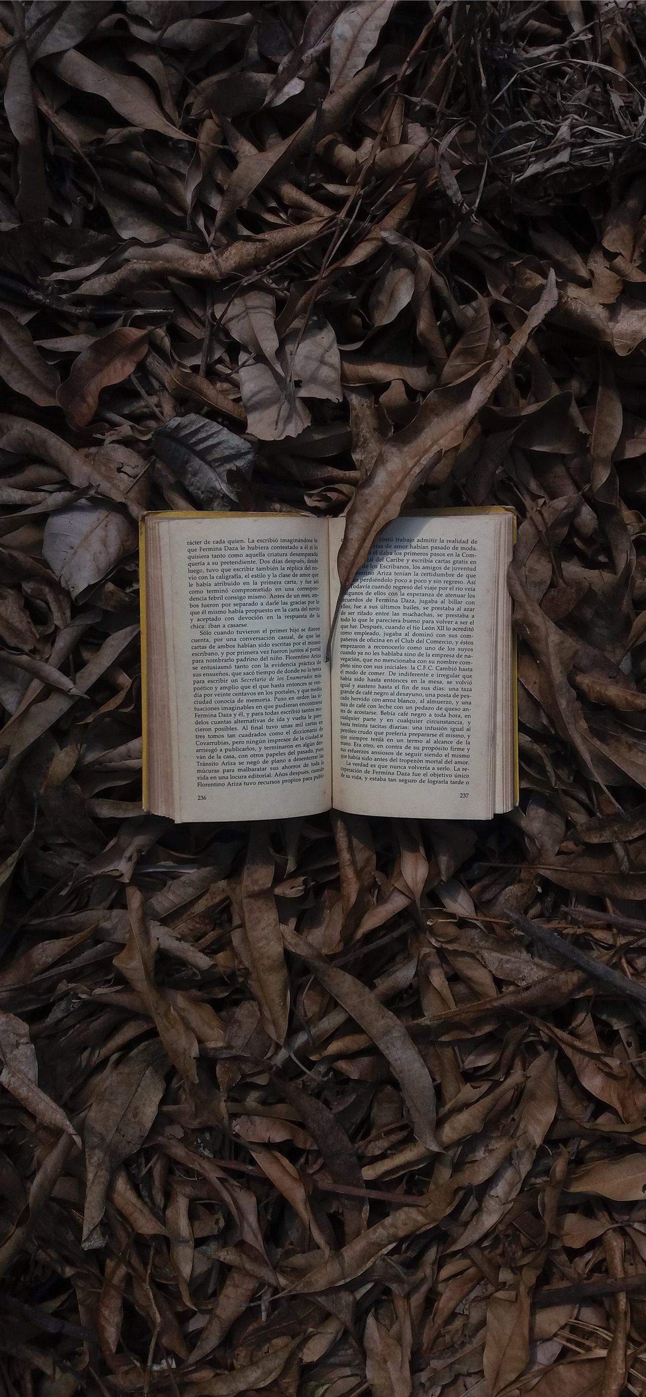 Novel Wallpapers - Top Free Novel Backgrounds - WallpaperAccess