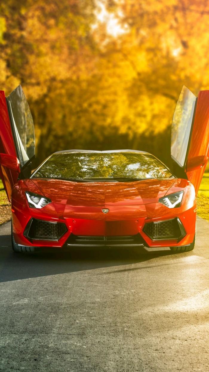 700x1245 Lamborghini Aventador Open Doors IPhone Wallpaper
