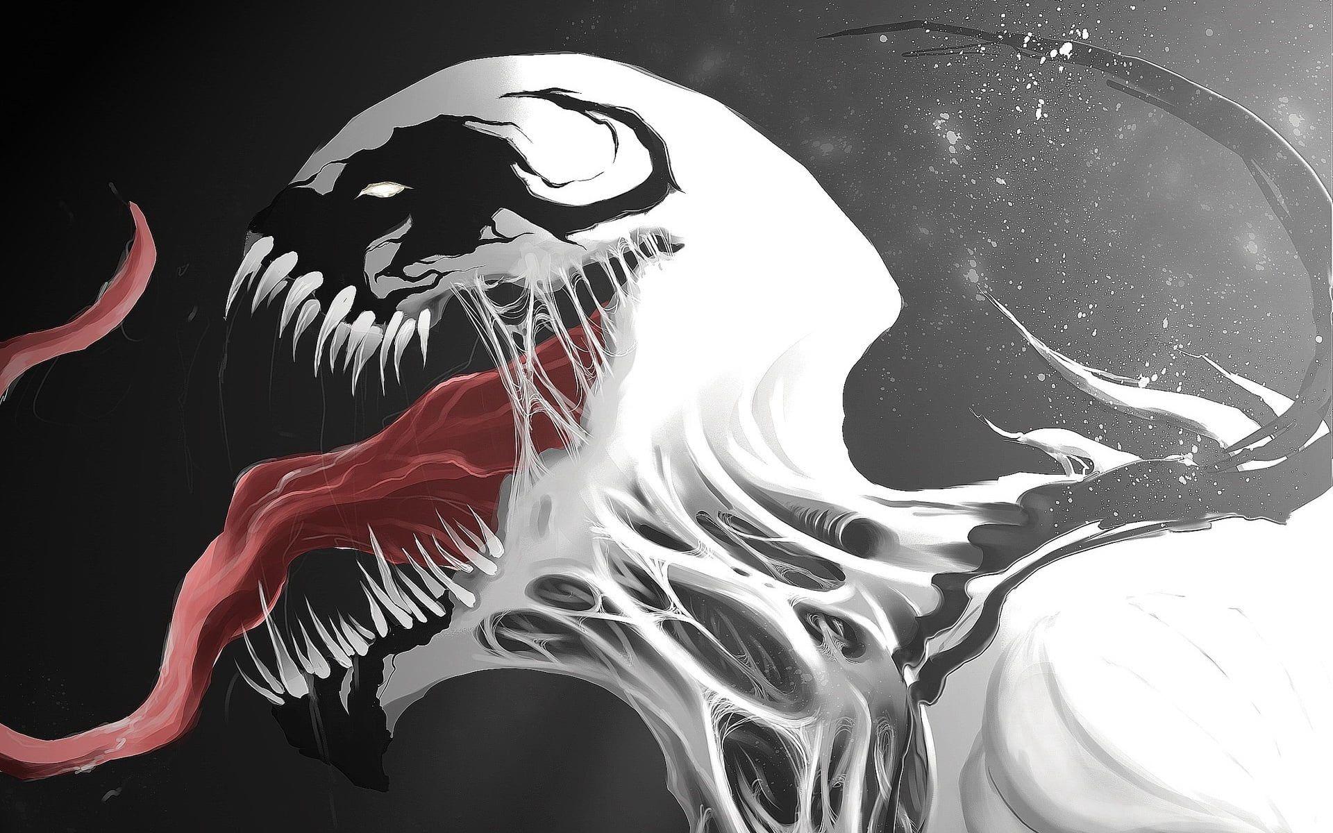Black and White Venom Wallpapers Top Free Black and White Venom