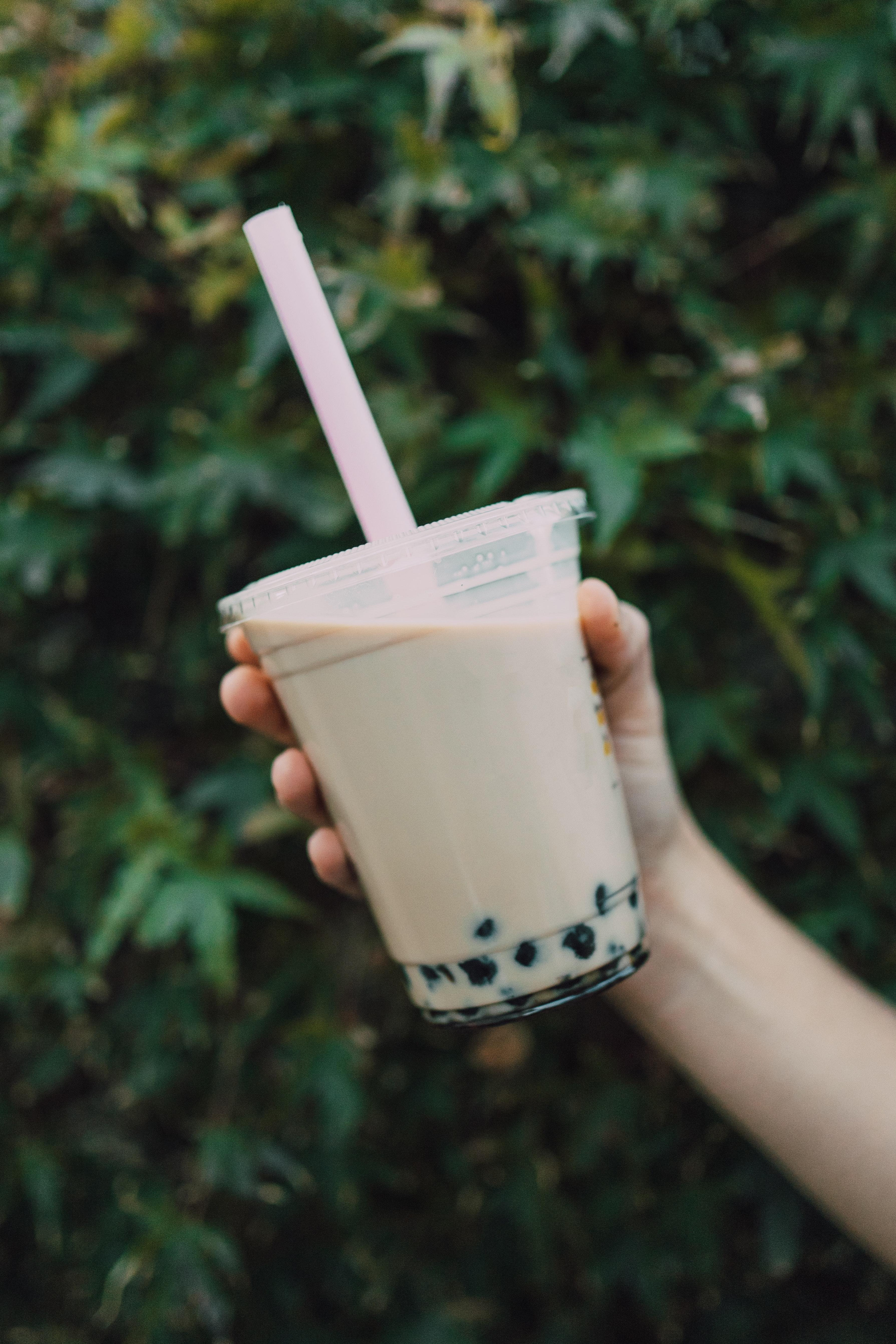 3578x5367 Best Free Milk Tea & Image · 100% Royalty Free HD Downloads