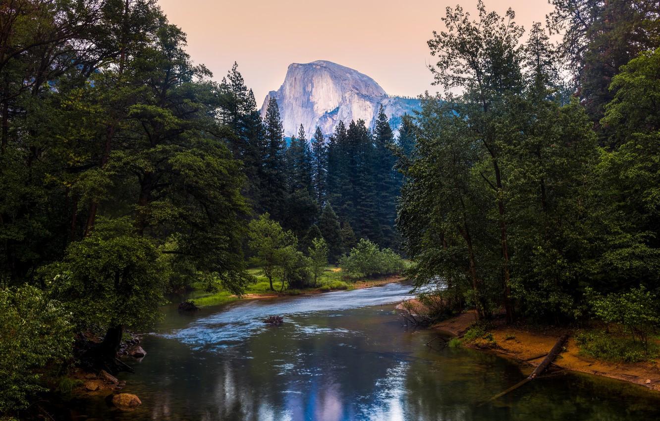 1332x850 Wallpaper forest, mountains, CA, USA, river, California, Yosemite National Park, Half Dome, Merced River image for desktop, section природа