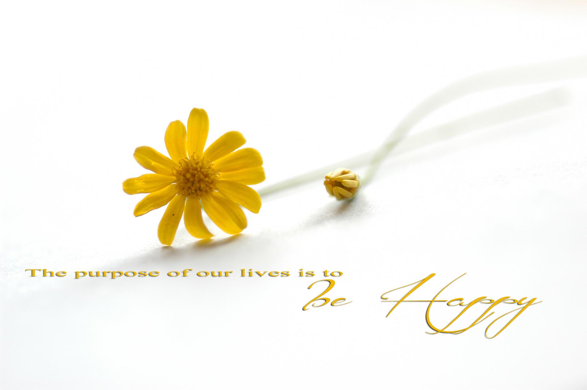 1900x1263 Free Desktop Happy Wallpaper