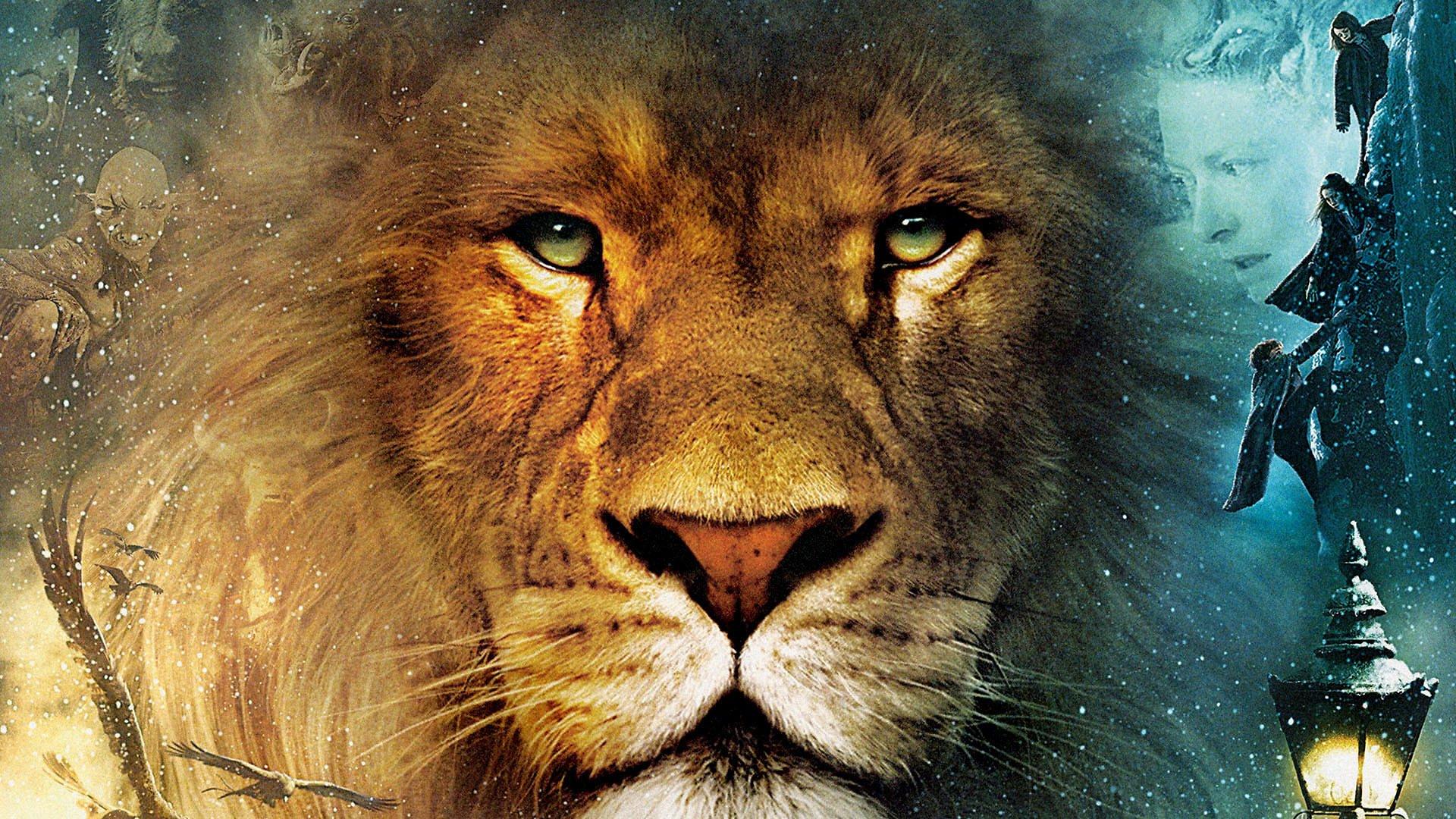1920x1080 The Majestic Lion of Narnia: HD Movie Wallpaperx1080