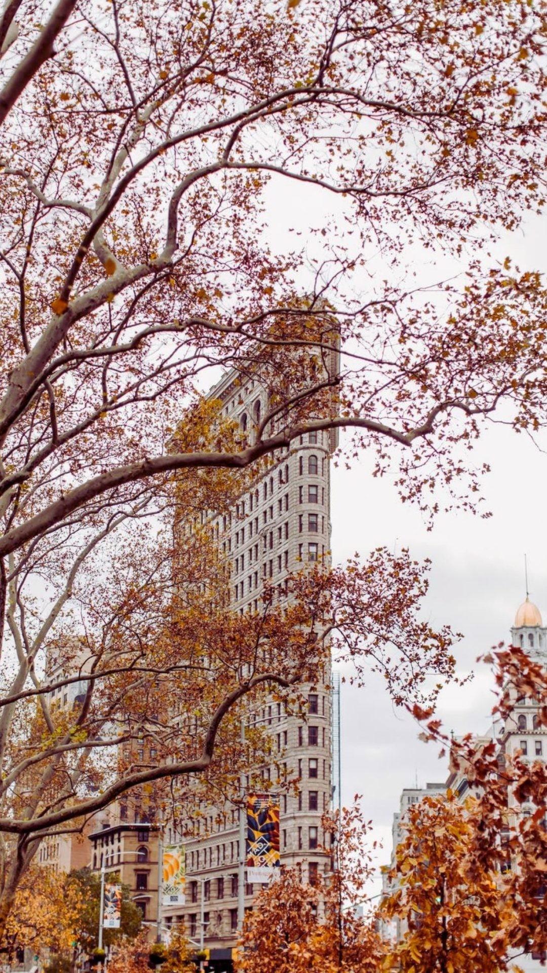 1080x1920 Free Aesthetic New York Wallpaper For iPhone That You'll Love