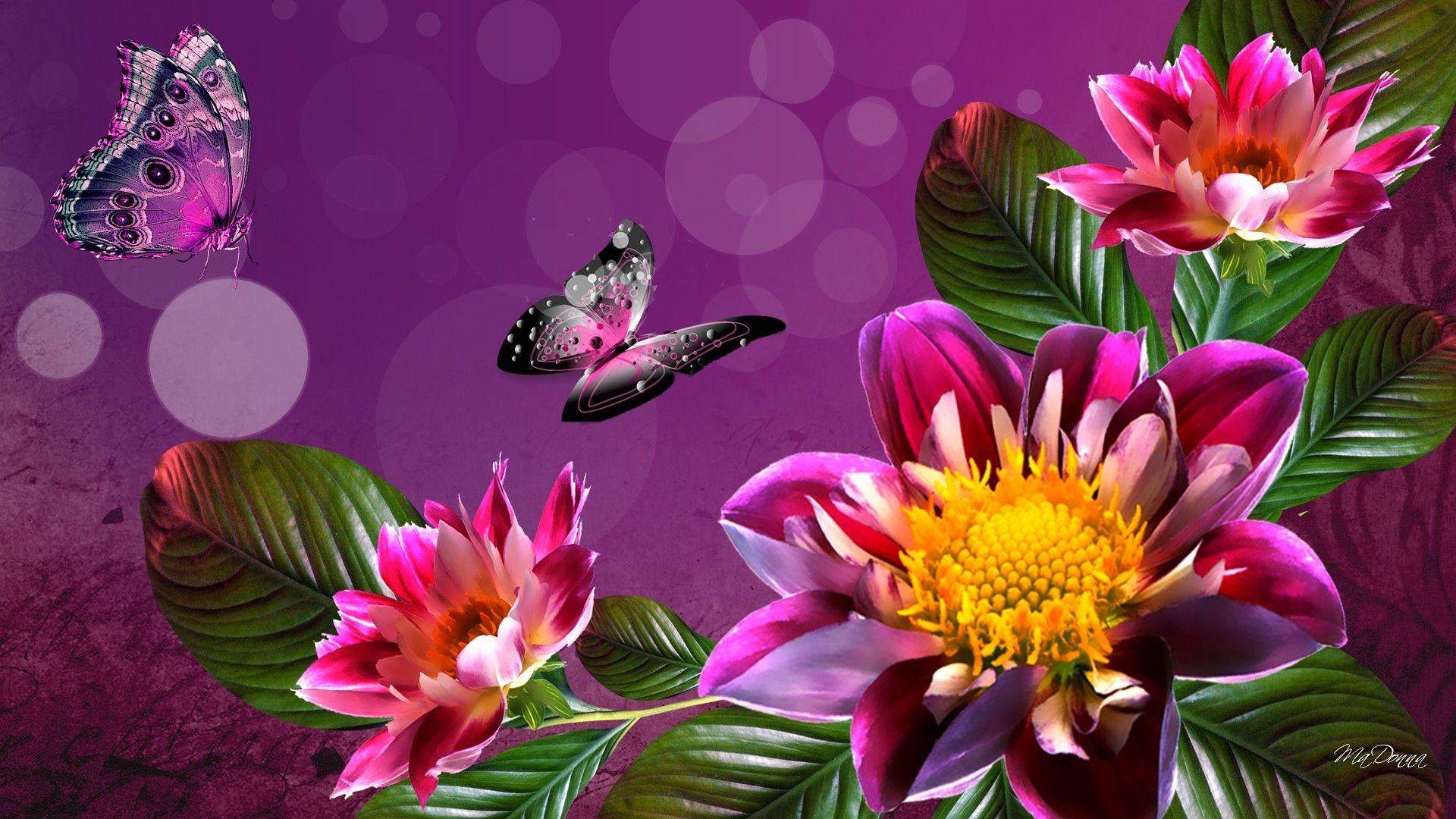 1920x1080 Colorful Flower Desktop Wallpaper