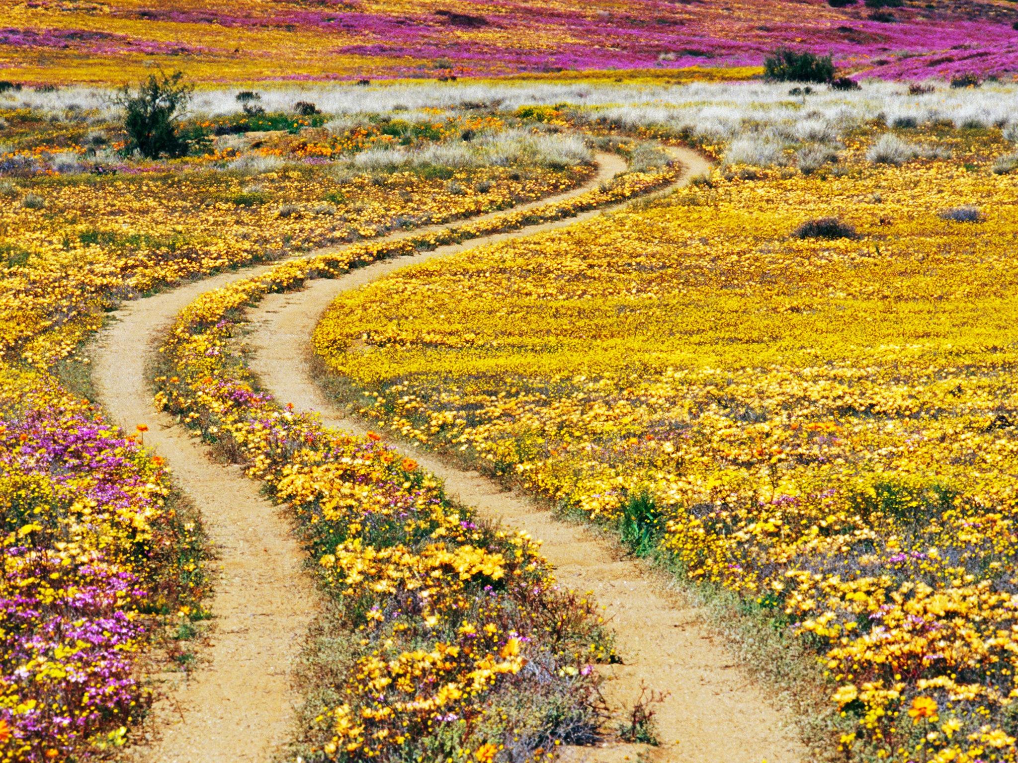 2048x1536 The 20 Most Beautiful Places in South Africa. Condé Nast Traveler