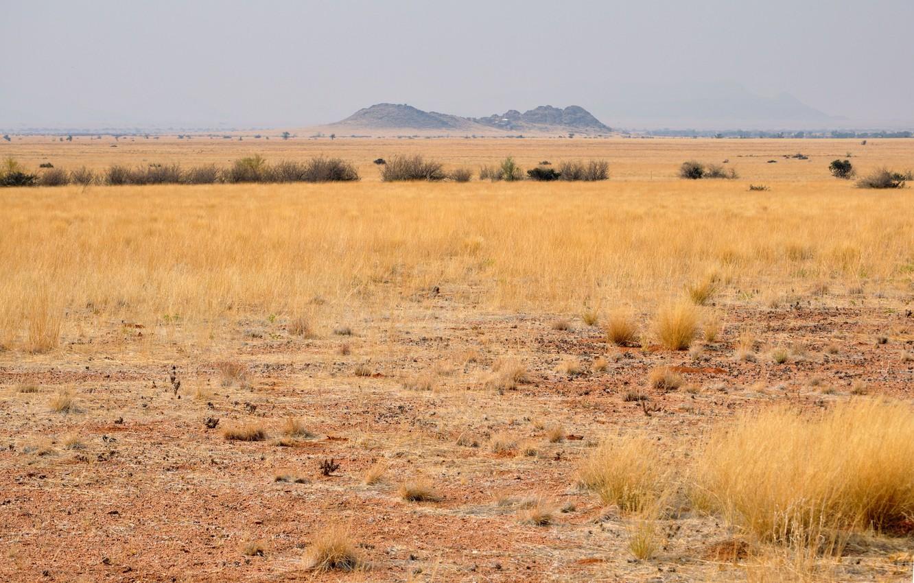 1332x850 Wallpaper landscape, desert, Savannah, Africa, Namibia, South Africa image for desktop, section пейзажи