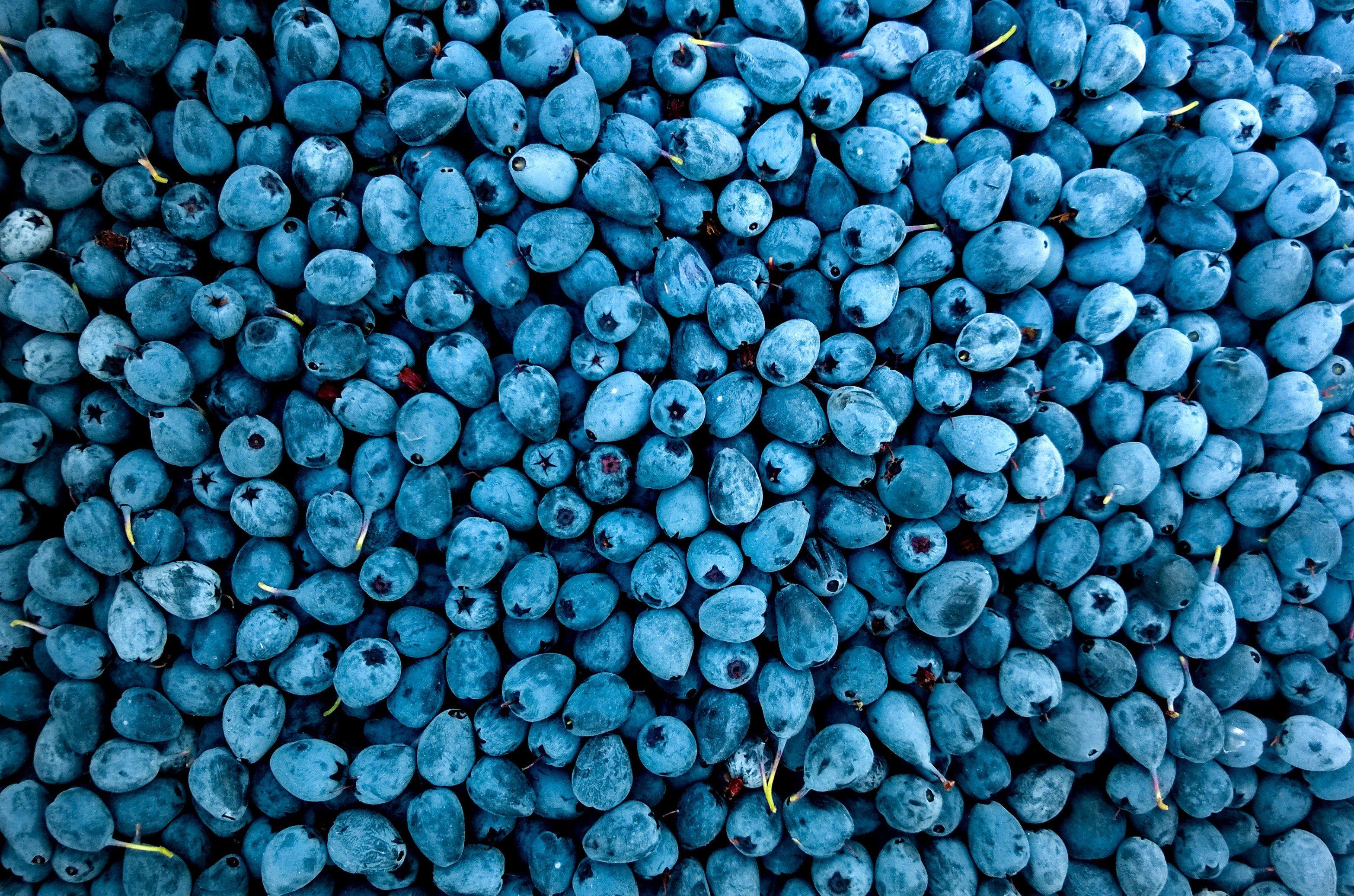 3132x2072 Blueberry Wallpaper