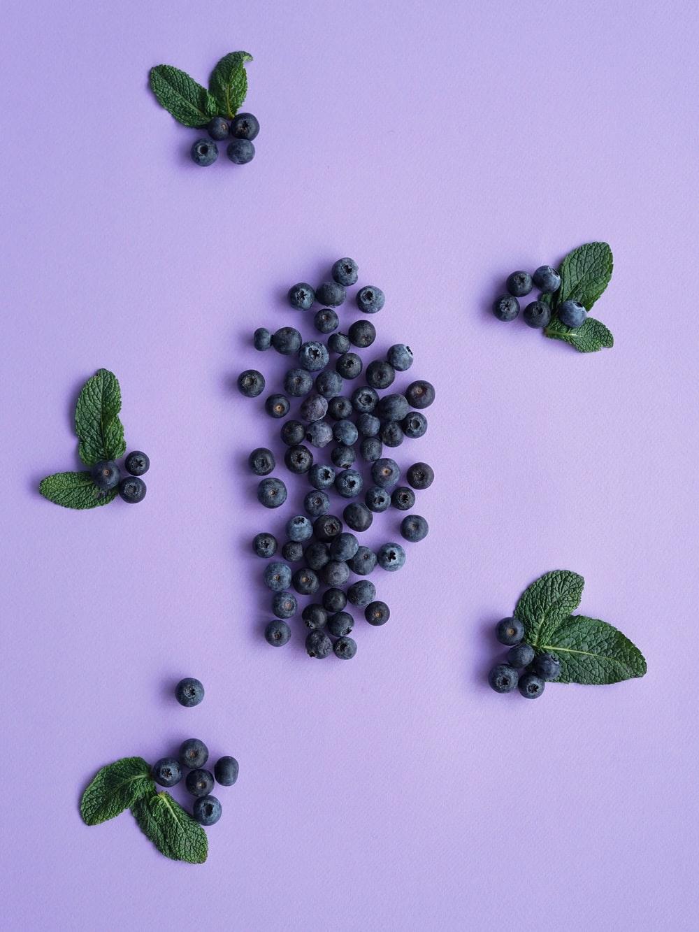 1000x1333 Blueberry Picture [HD]. Download Free Image