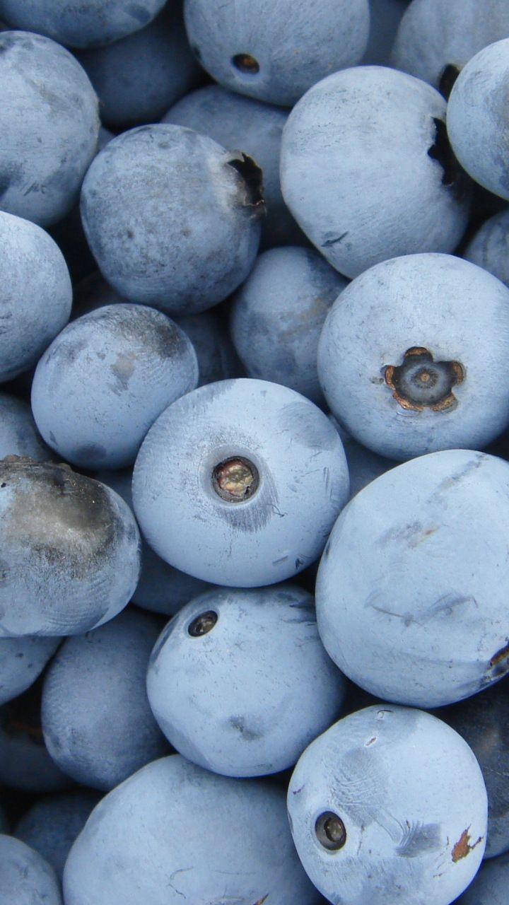 720x1280 Blueberries, ripen, fruits, 720x1280 wallpaper. Fruit wallpaper, Aesthetic iphone wallpaper, iPhone wallpaper