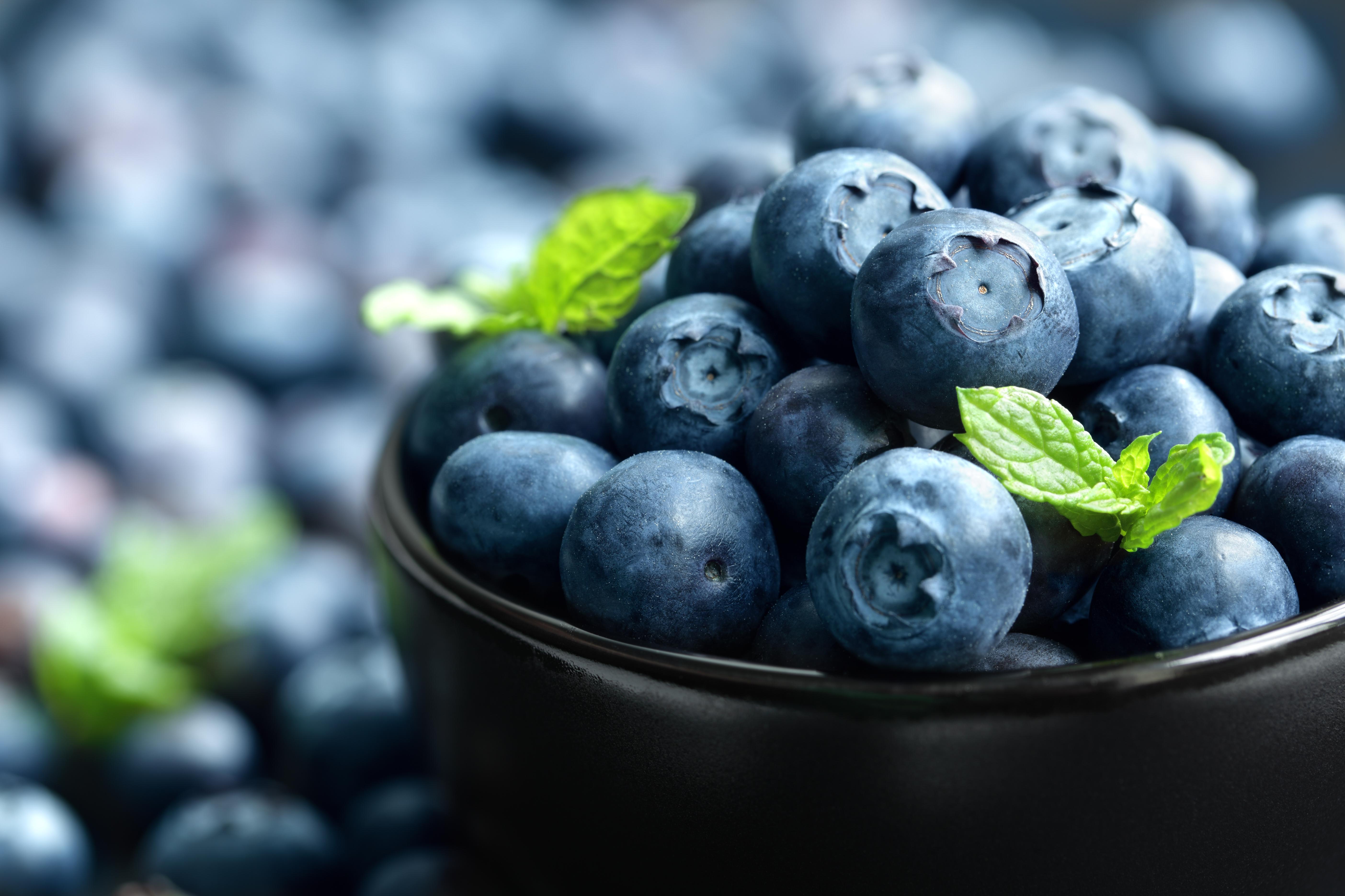 5616x3744 4K Blueberry Wallpaper and Background Image