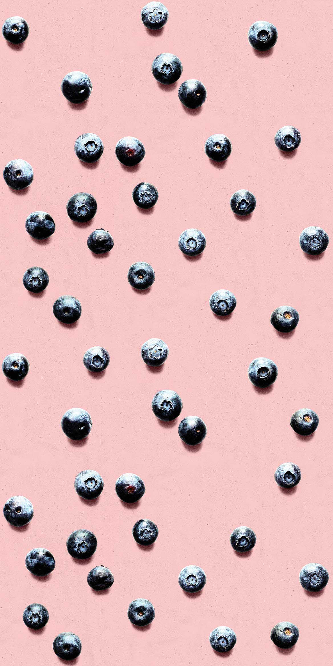 1168x2336 Pink Blueberry Wallpaper